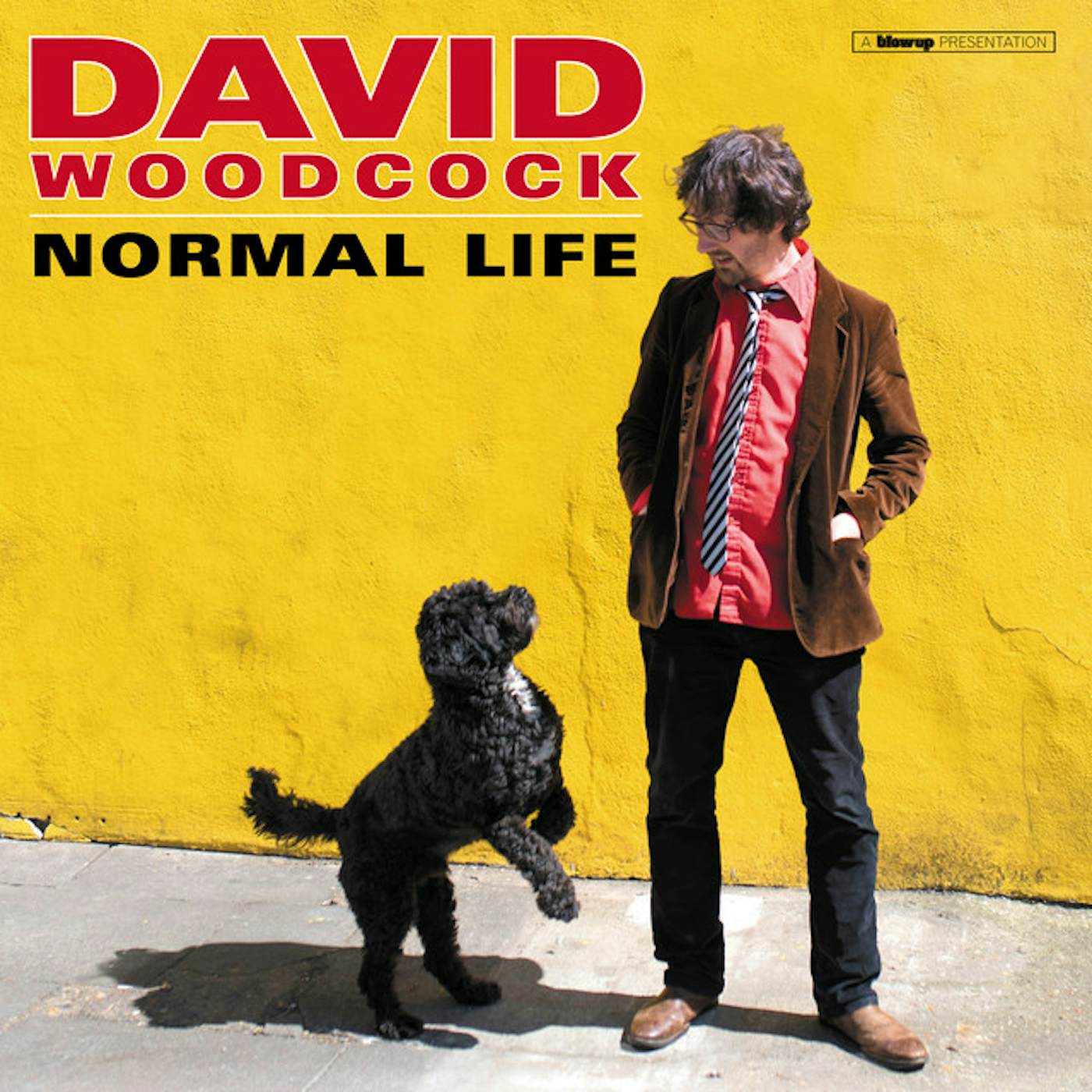 David Woodcock NORMAL LIFE CD