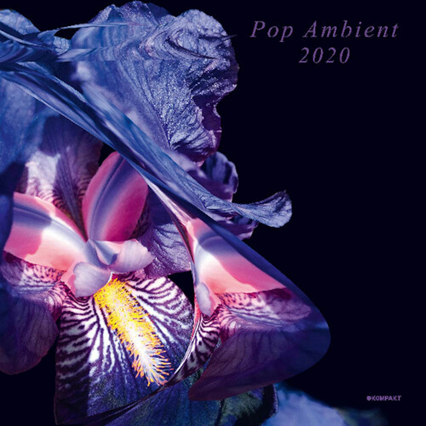 POP AMBIENT 2020 / VARIOUS CD