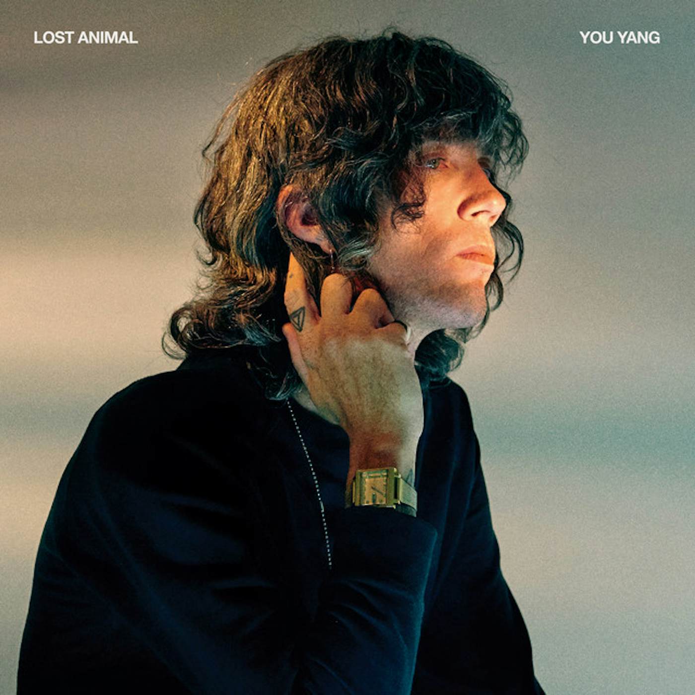 Lost Animal YOU YANG CD