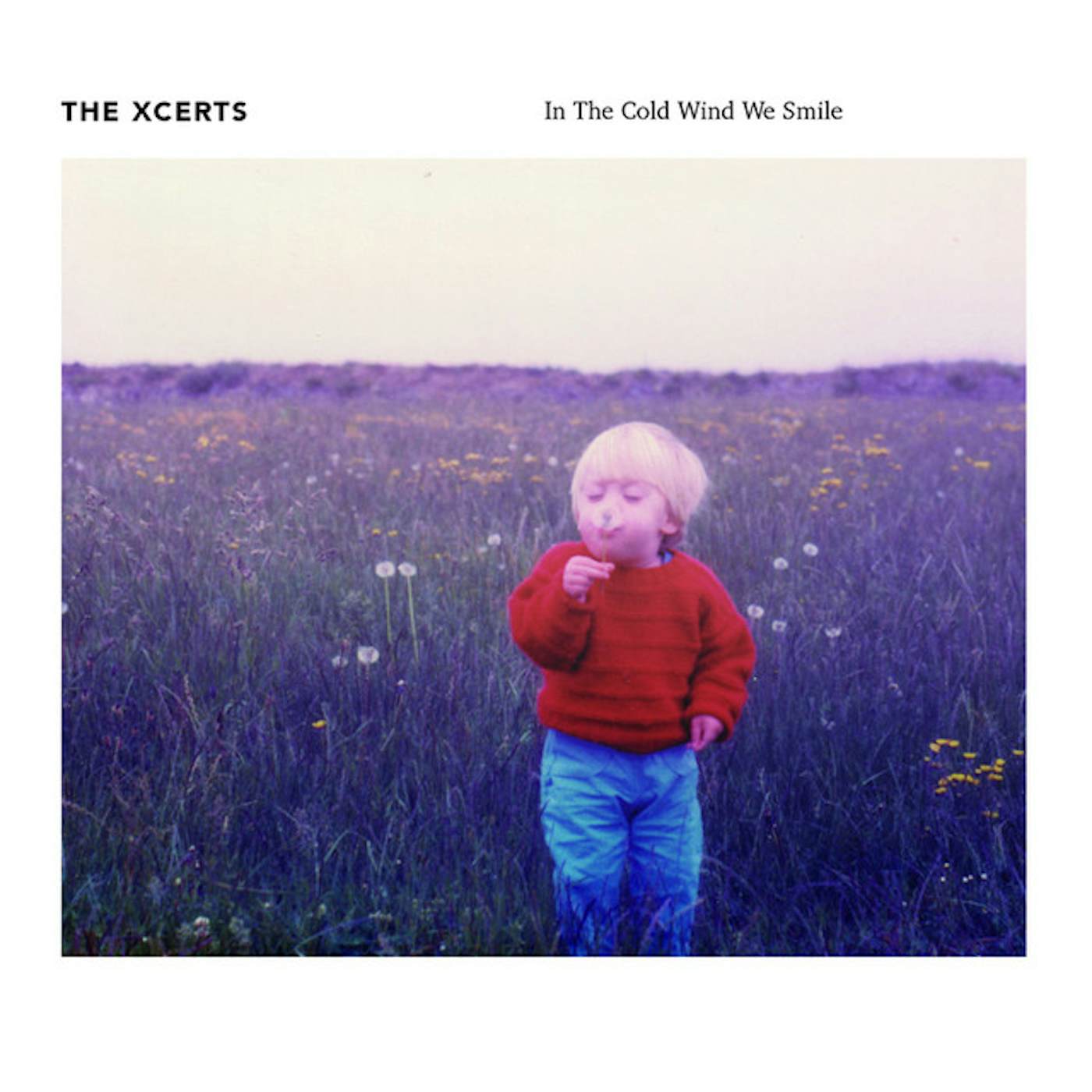 The XCERTS IN THE COLD WIND WE SMILE CD