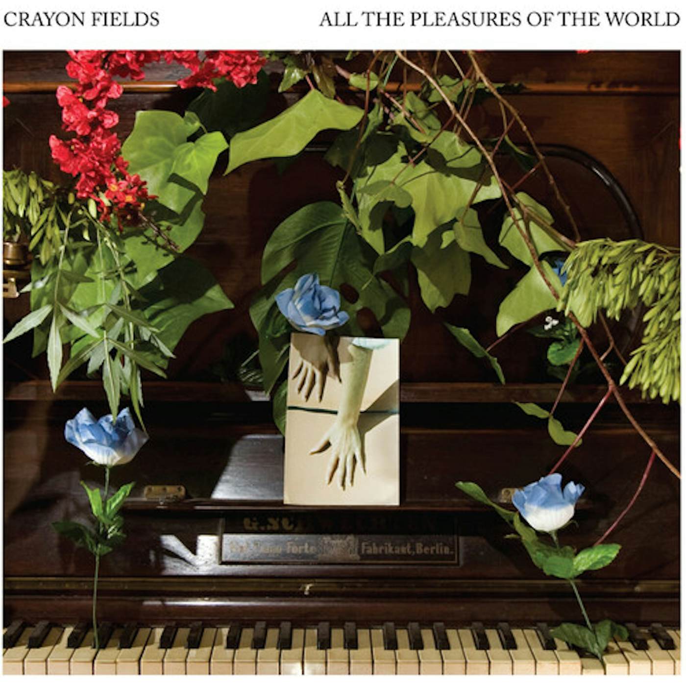 The Crayon Fields ALL THE PLEASURES OF THE WORLD (DELUXE EDITION) (C Vinyl Record