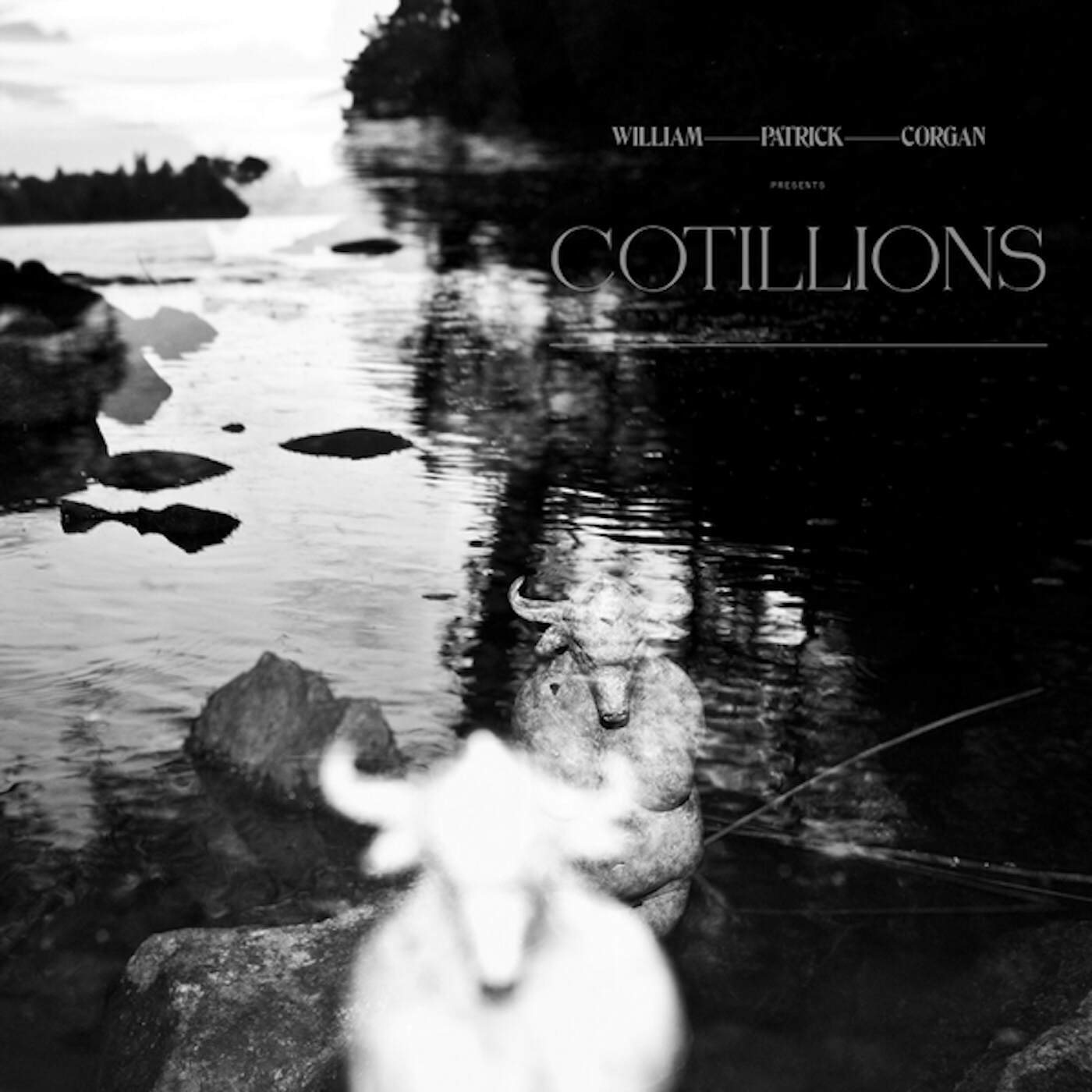William Patrick Corgan Cotillions Vinyl Record