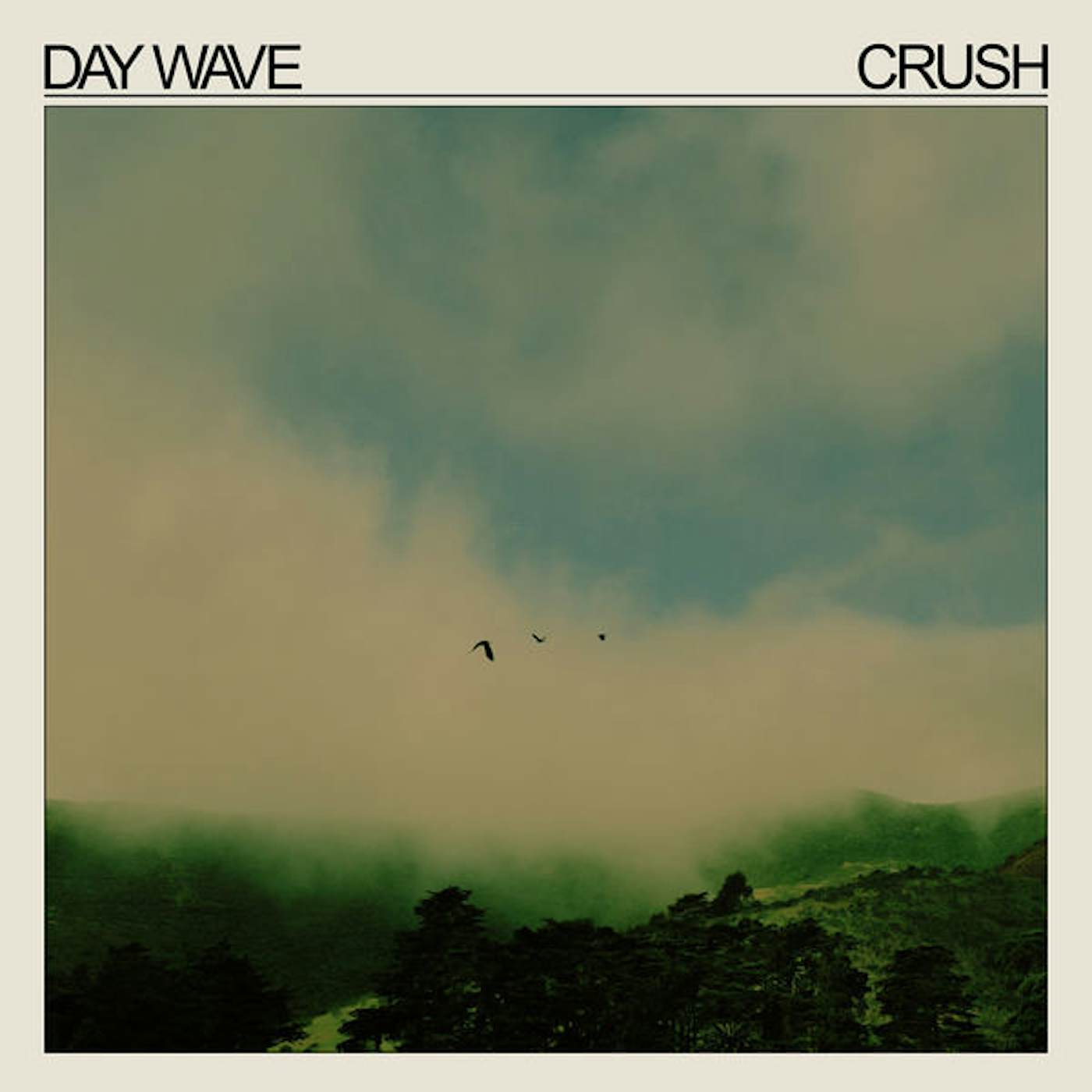 Day Wave Crush Vinyl Record