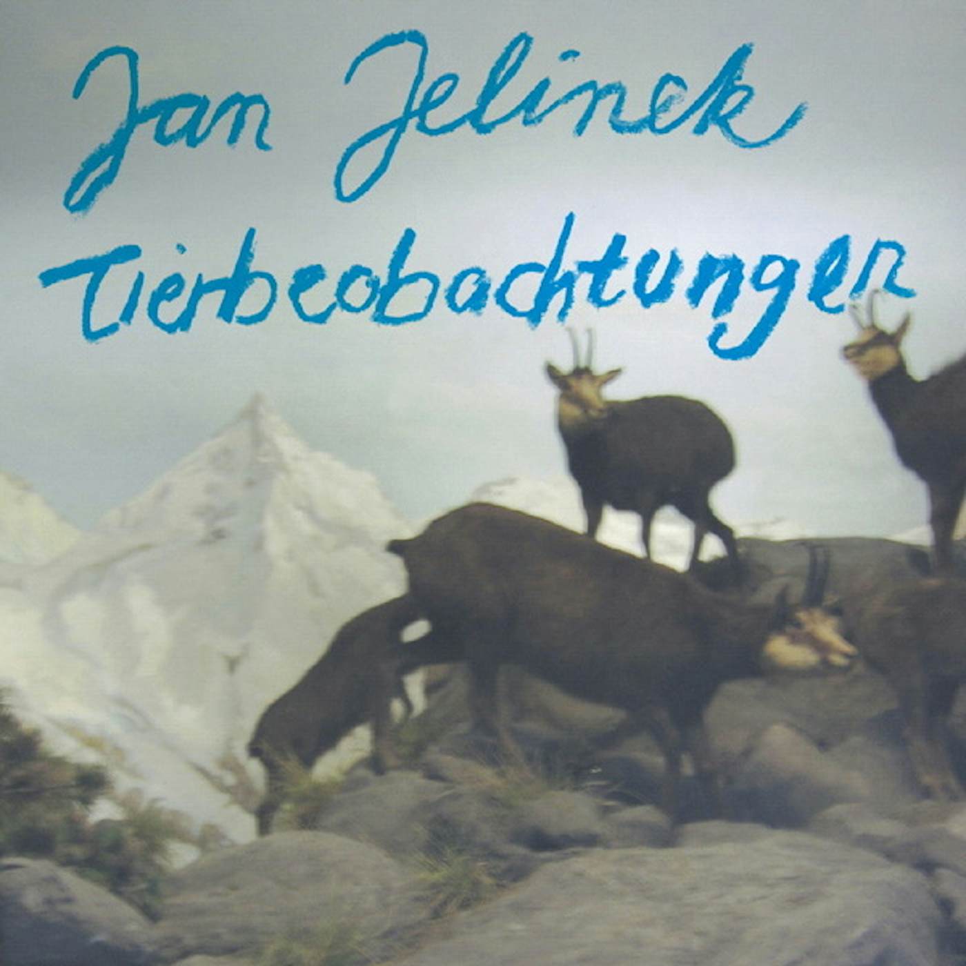 Jan Jelinek Tierbeobachtungen Vinyl Record