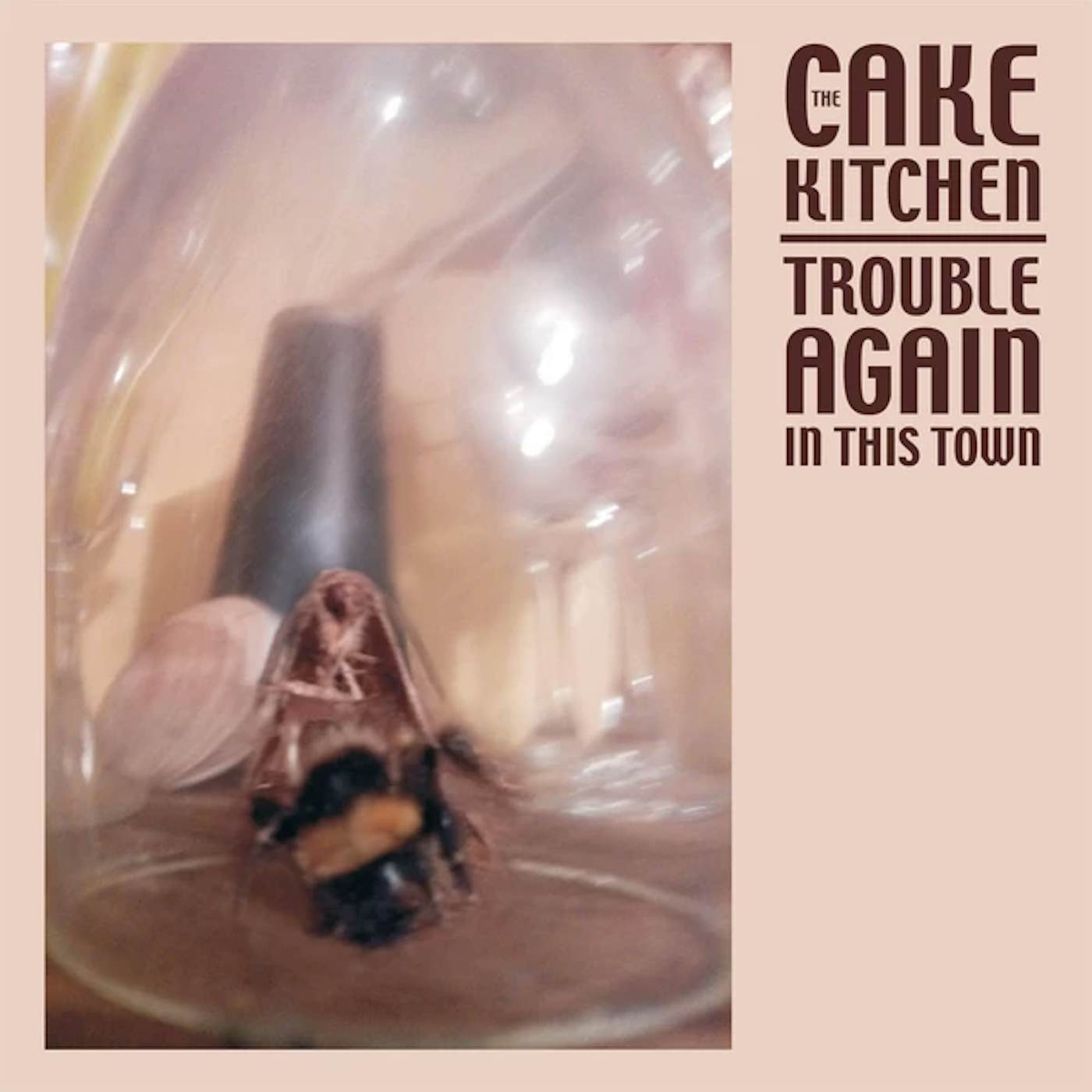 The Cakekitchen Trouble Again in This Town Vinyl Record
