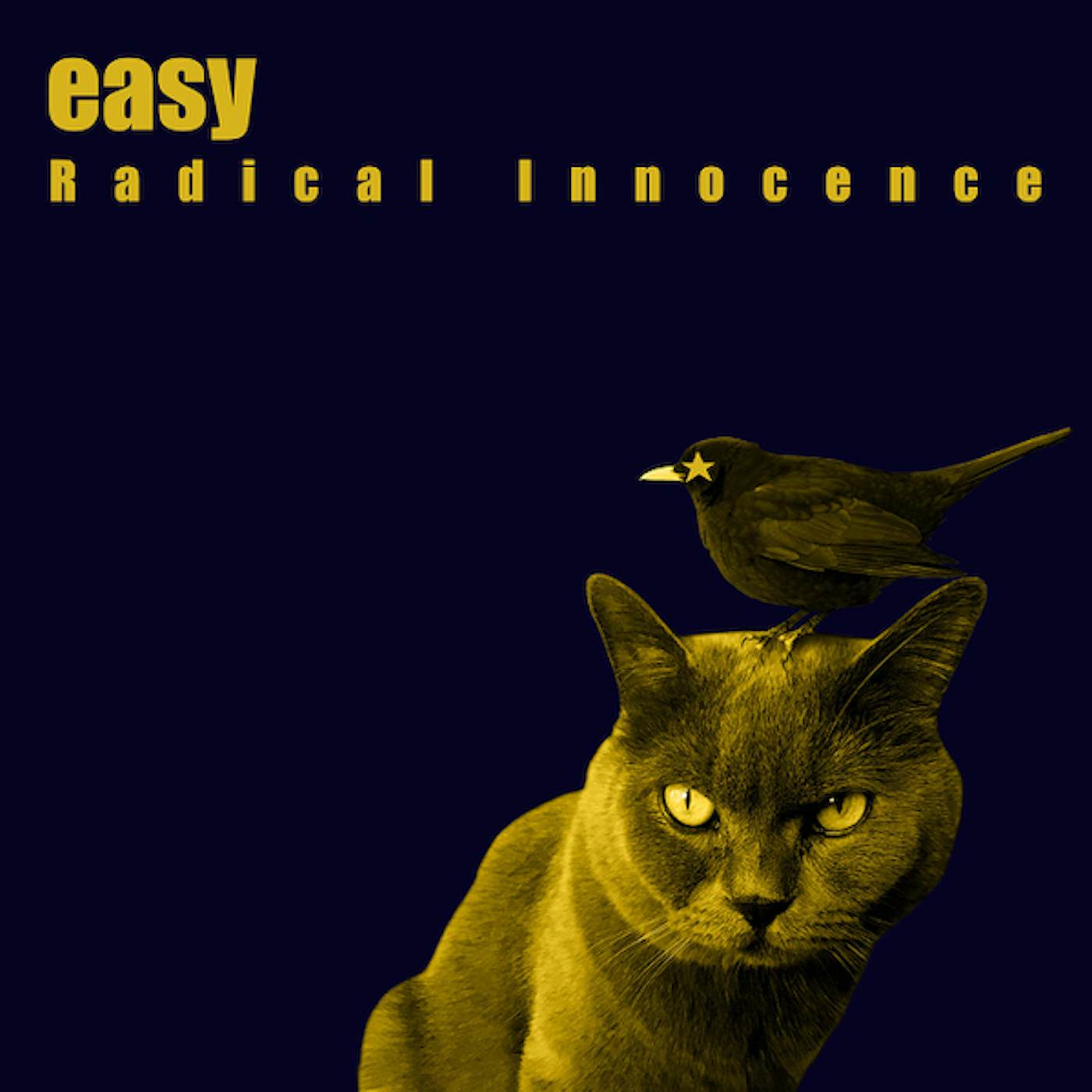 Easy Radical Innocence Vinyl Record