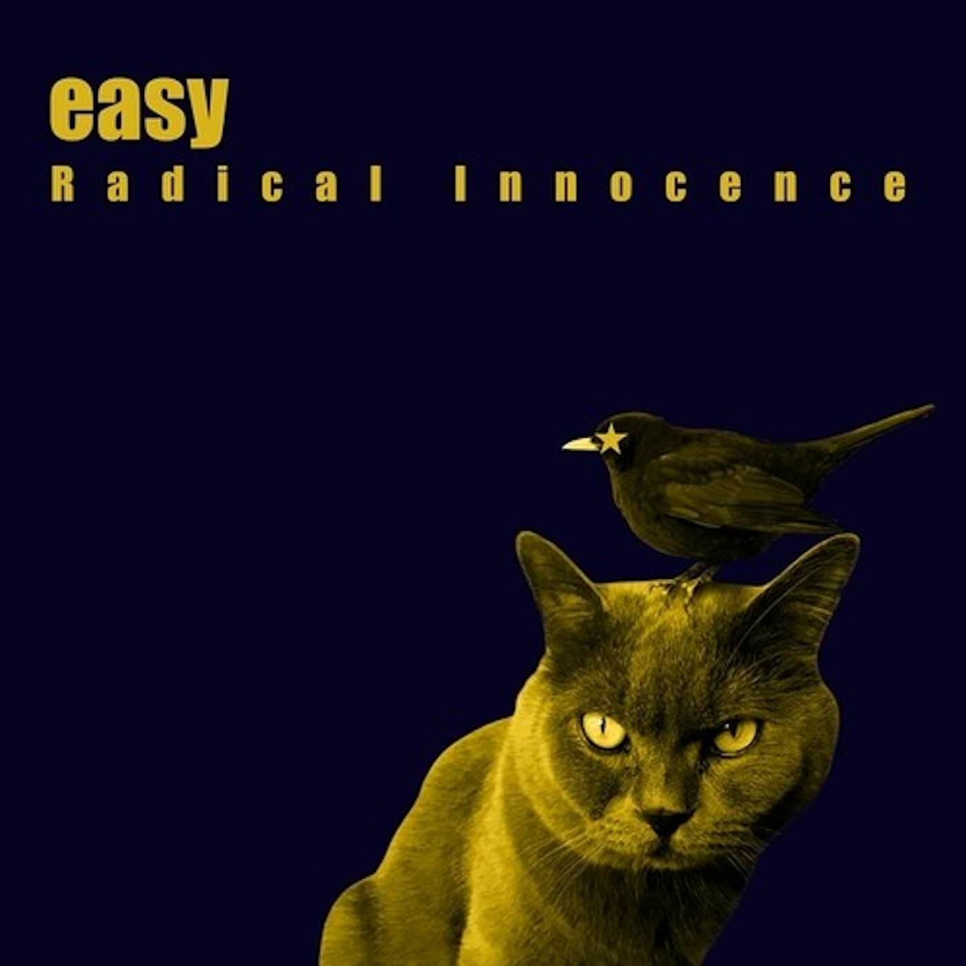 Easy RADICAL INNOCENCE CD