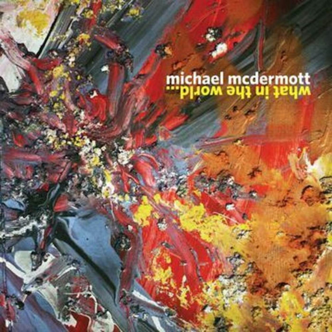 Michael McDermott WHAT IN THE WORLD CD