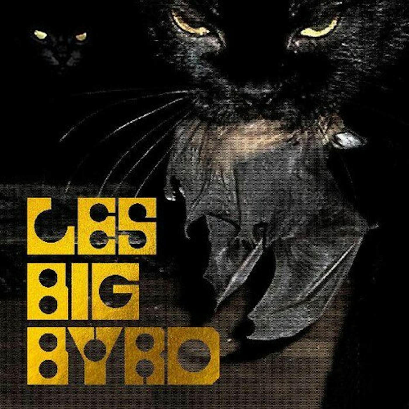 Les Big Byrd ROOFIED ANGELS Vinyl Record
