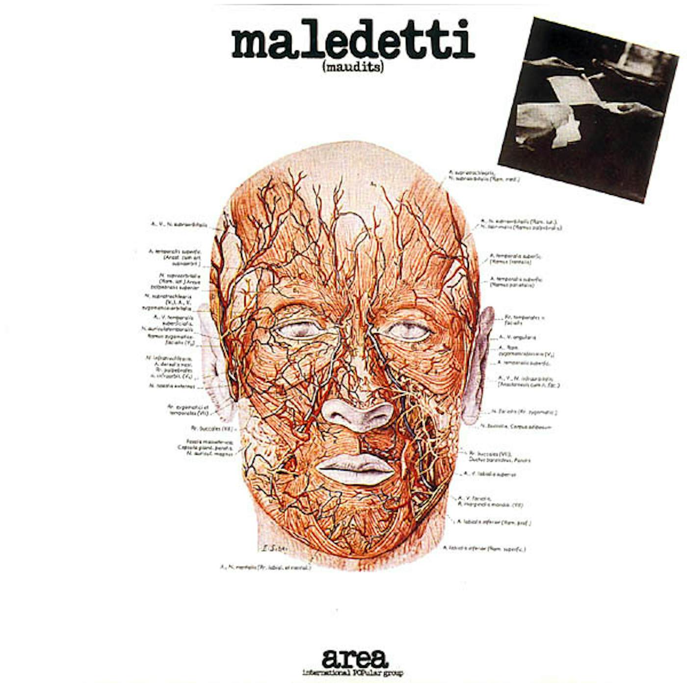 Area Maledetti Vinyl Record