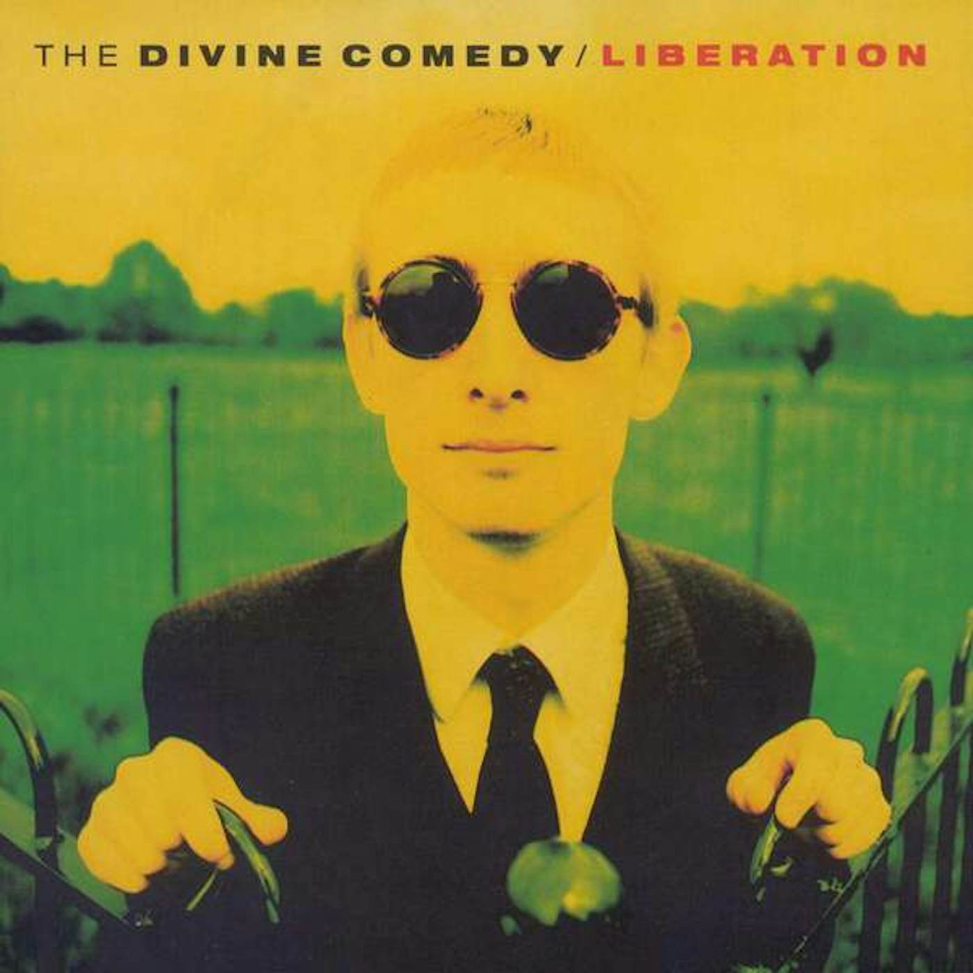 The Divine Comedy Liberation Vinyl Record