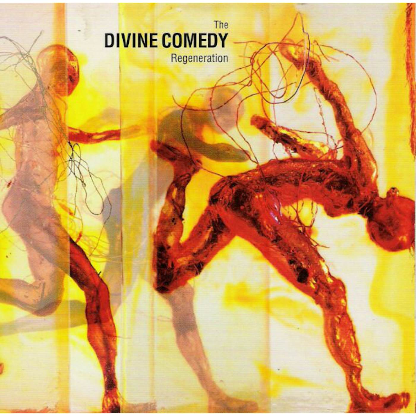 The Divine Comedy Regeneration Vinyl Record