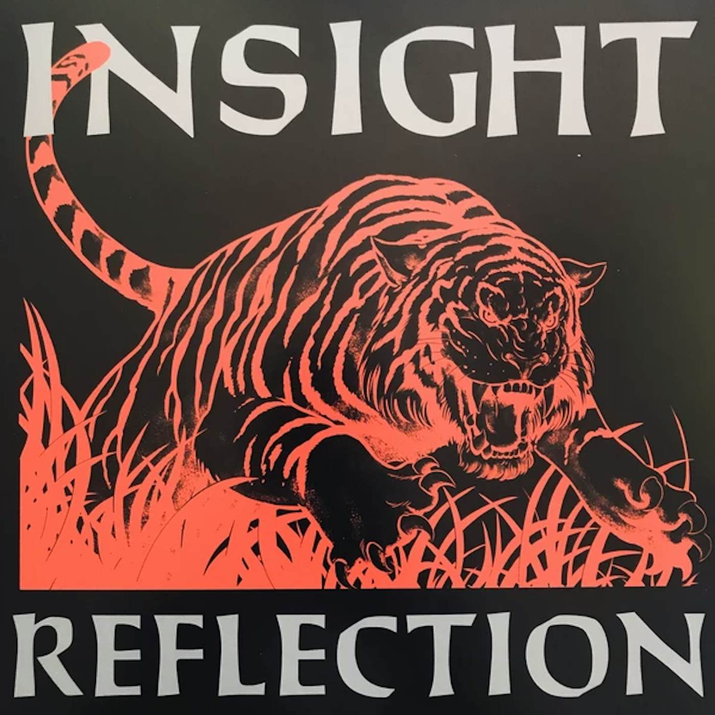 Insight Reflection Vinyl Record