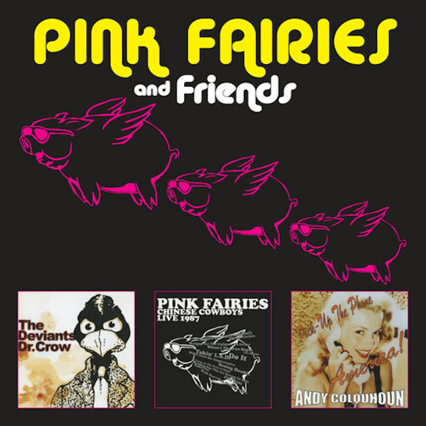 The Pink Fairies & FRIENDS CD