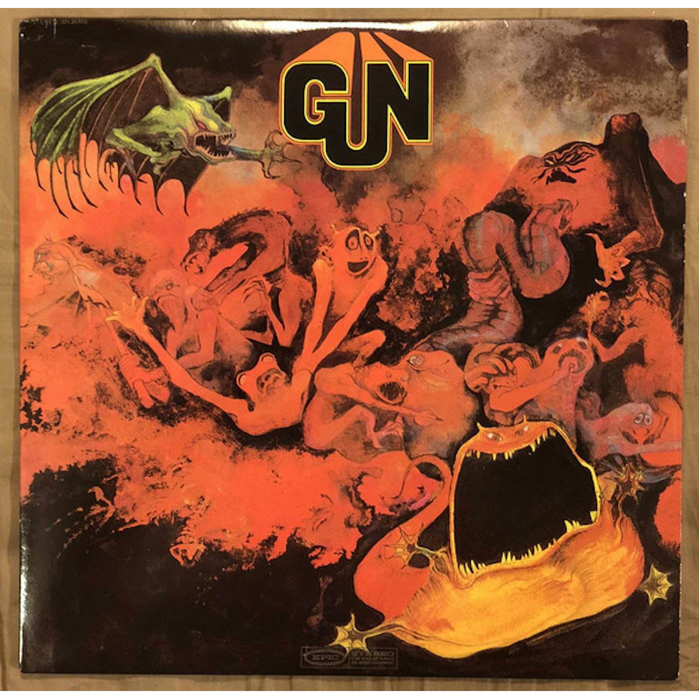 Gun Vinyl Record