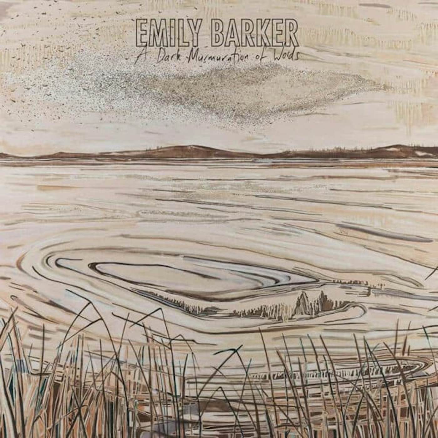Emily Barker DARK MURMURATION OF WORDS Vinyl Record