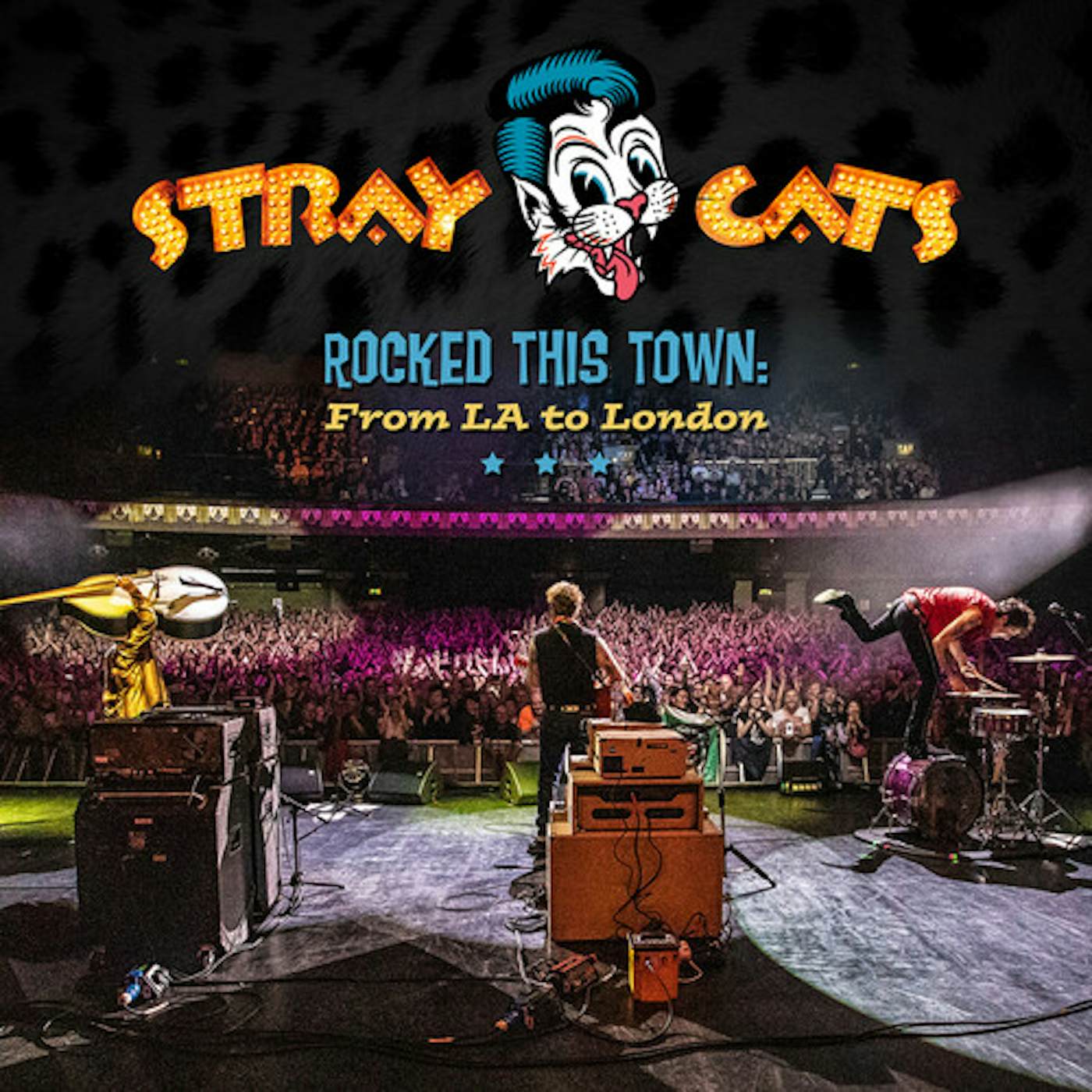 Stray Cats ROCKED THIS TOWN: FROM LA TO LONDON CD
