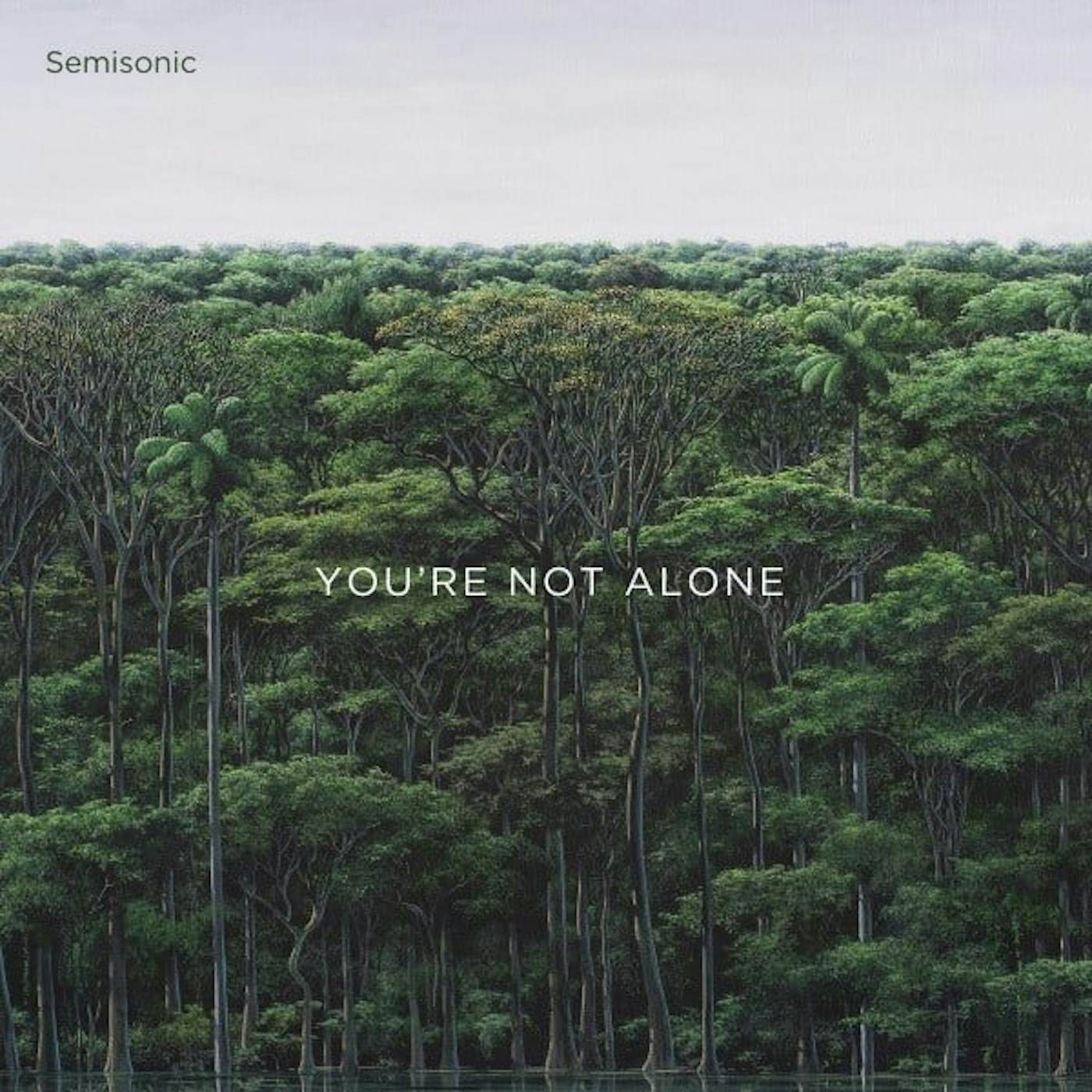 Semisonic You're Not Alone Vinyl Record