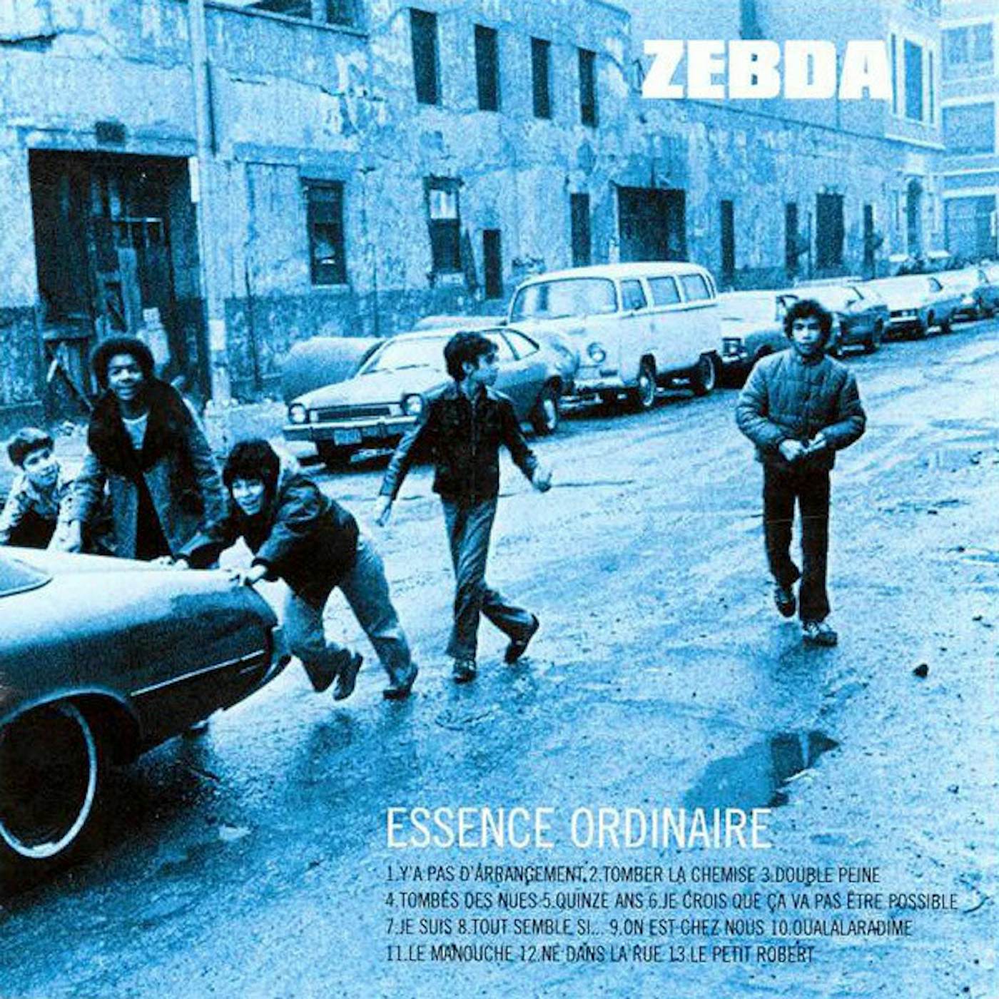 Zebda Essence Ordinaire Vinyl Record