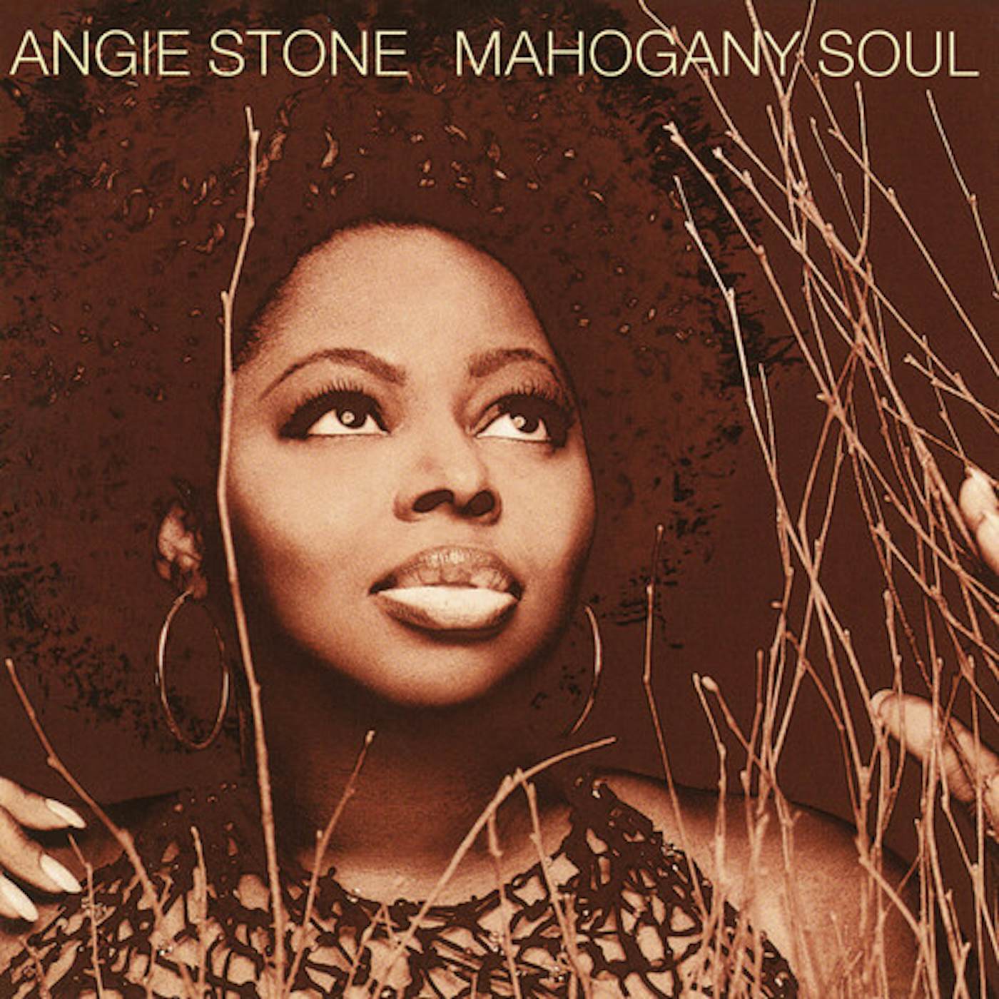 Angie Stone MAHOGANY SOUL CD
