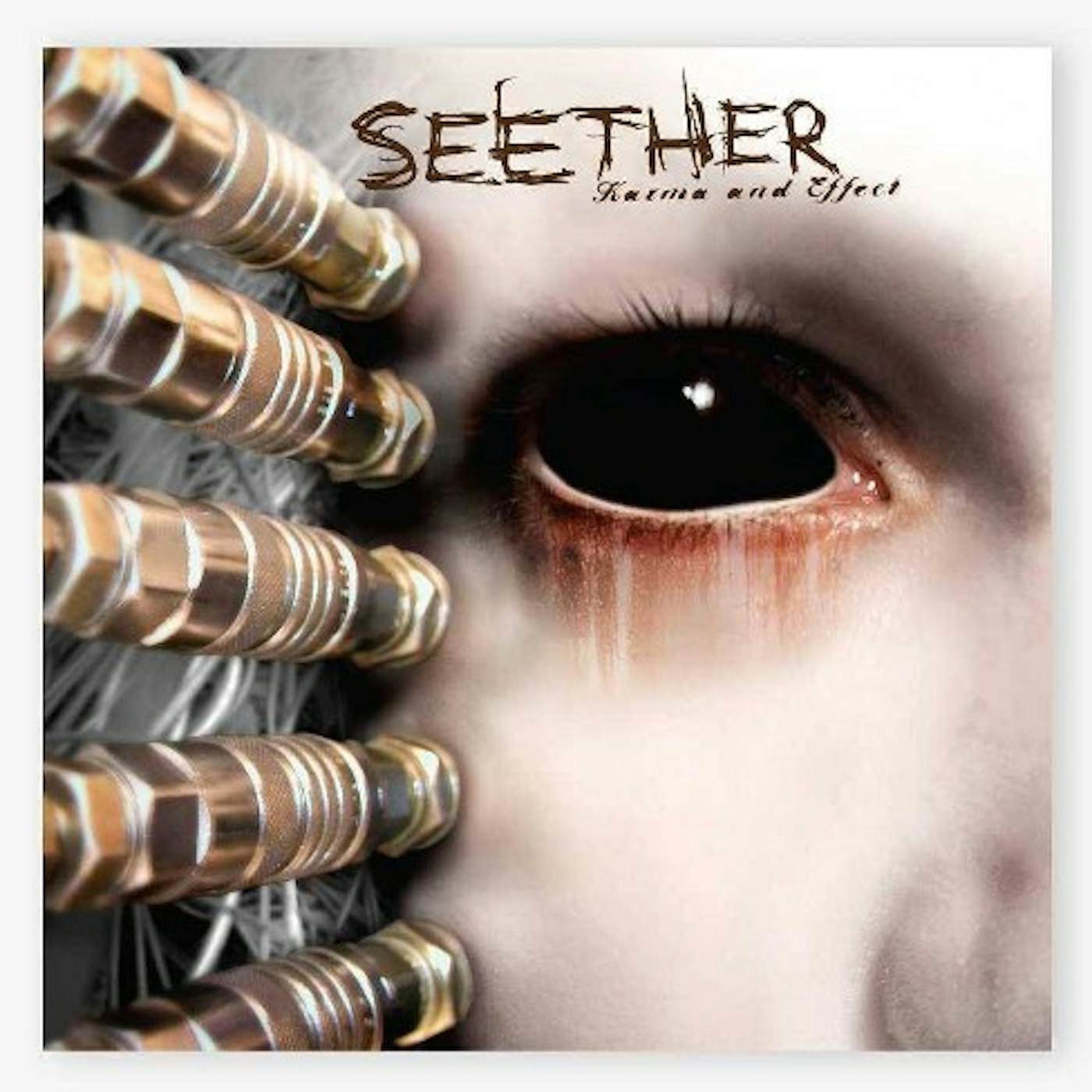 Seether Karma and Effect Vinyl Record