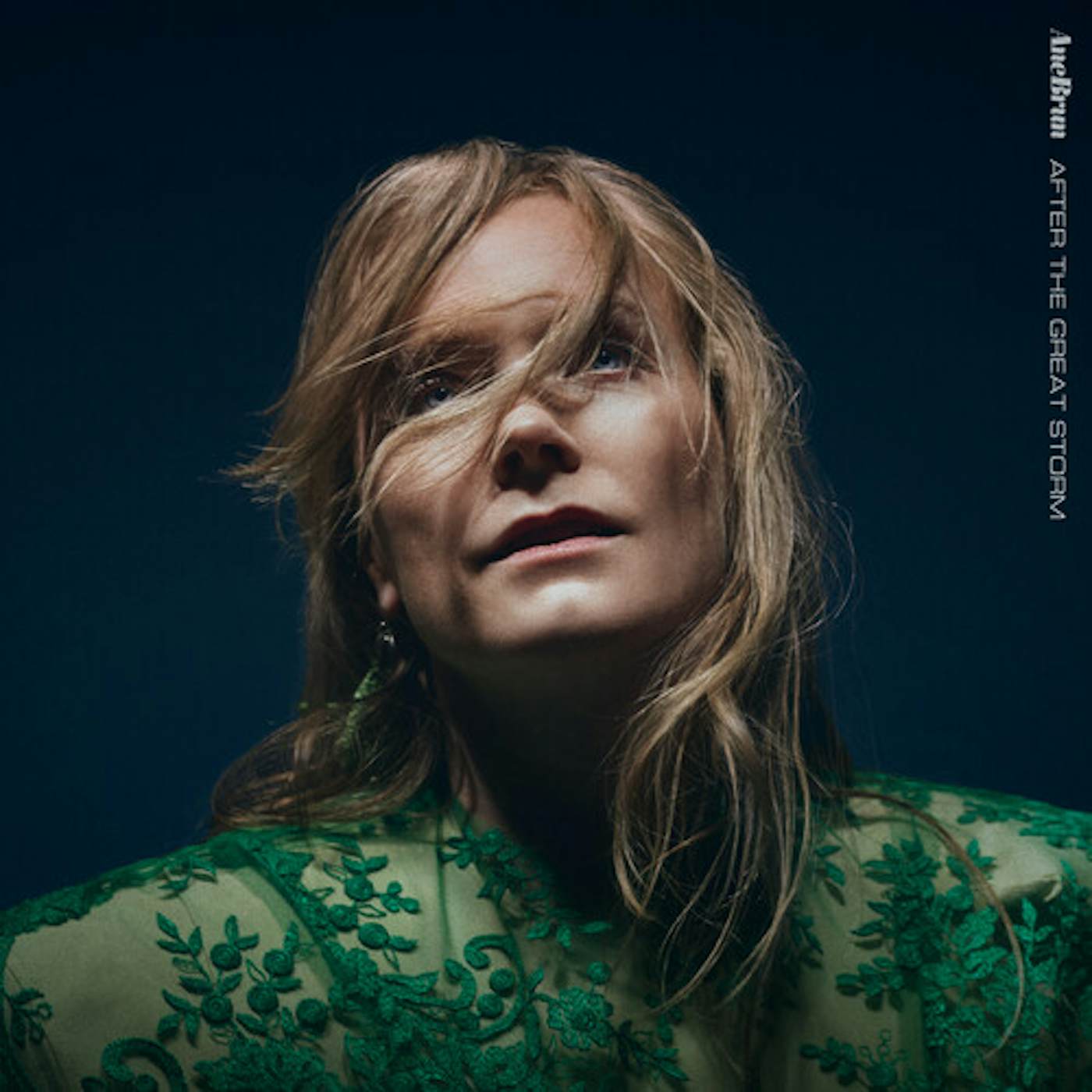 Ane Brun AFTER THE GREAT STORM CD