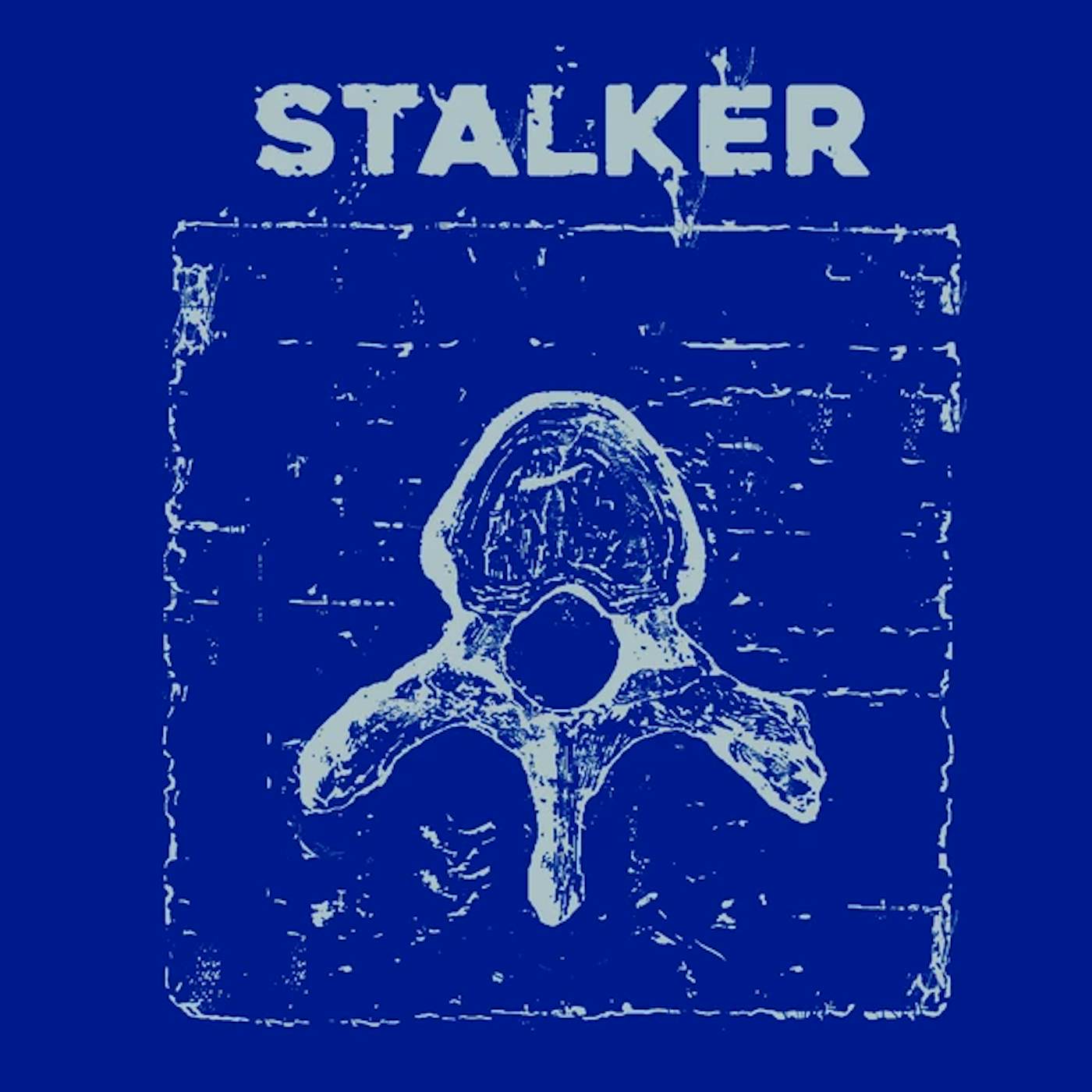 Stalker VERTEBRE Vinyl Record