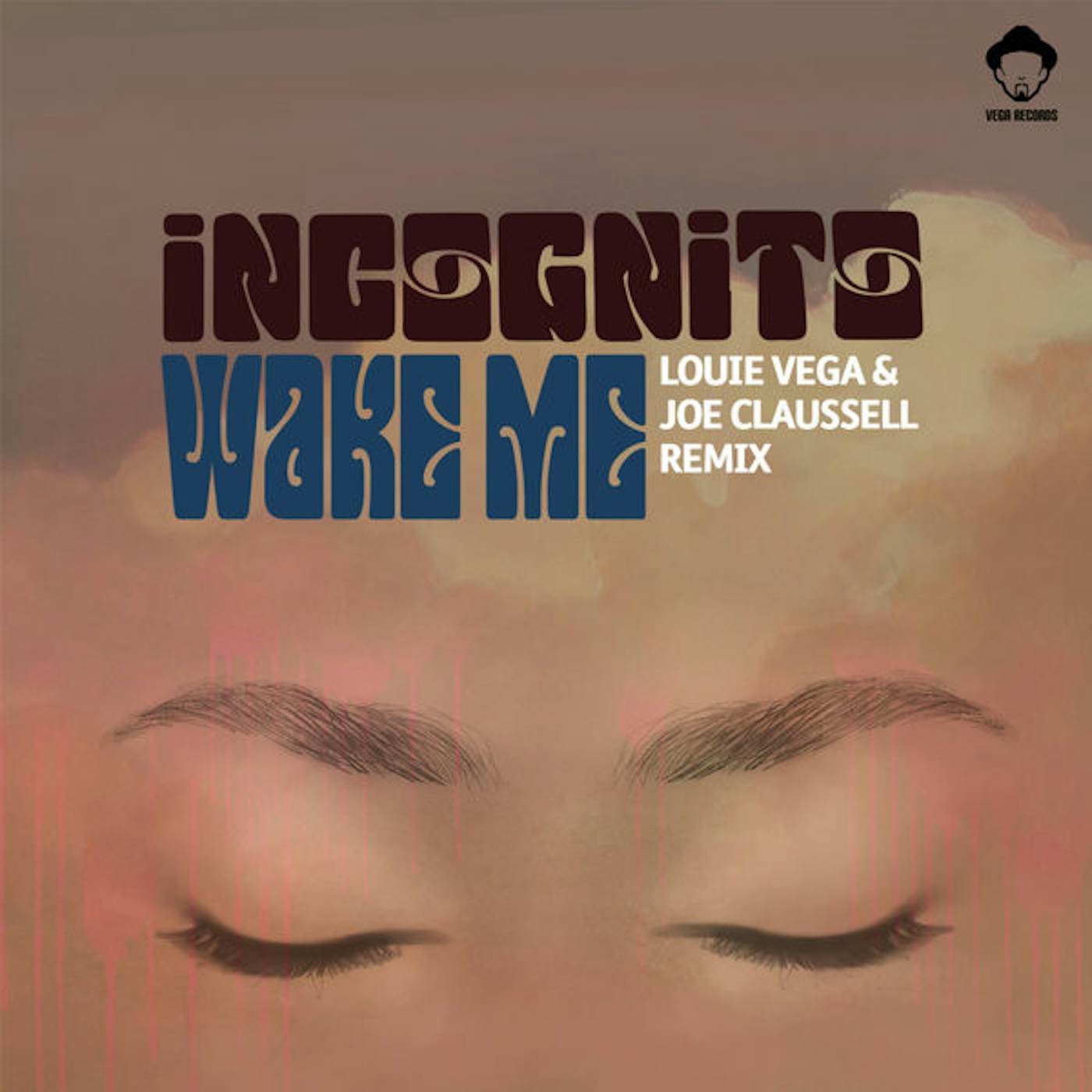 Incognito Wake Me (Louie Vega & Joe Claussell Remix) Vinyl Record