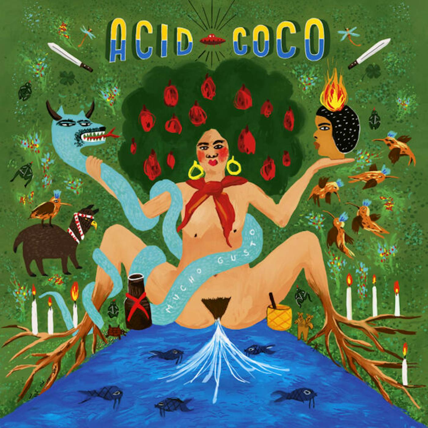 Acid Coco Mucho Gusto Vinyl Record