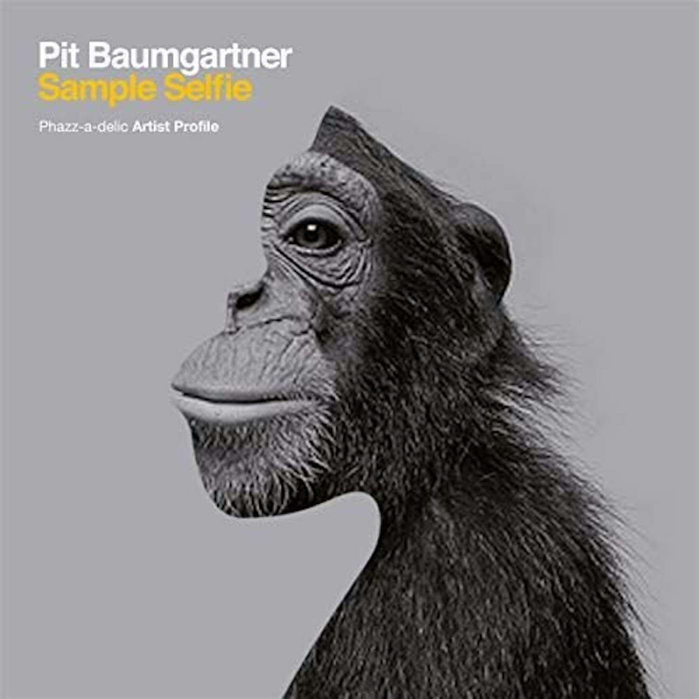 Pit Baumgartner Sample Selfie Vinyl Record