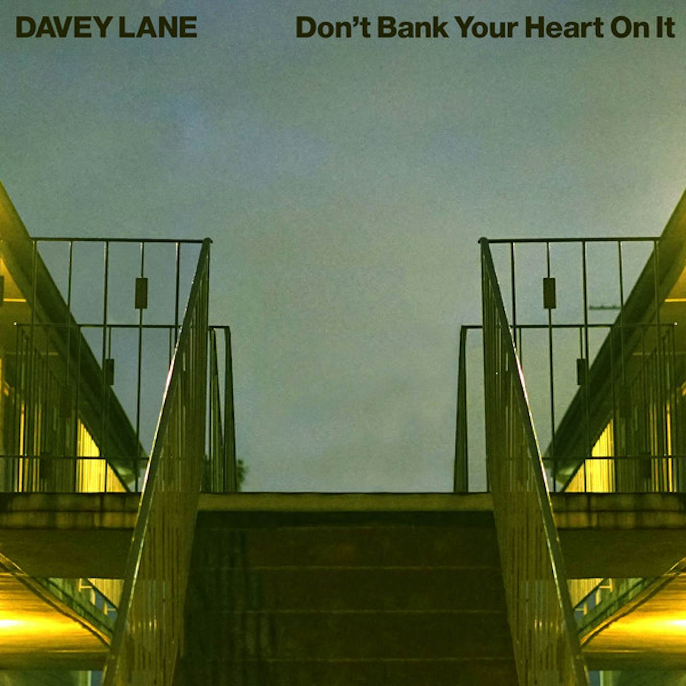 Davey Lane Don't Bank Your Heart On It Vinyl Record