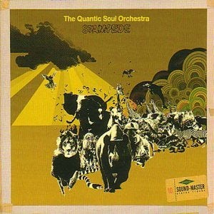 quantic soul orchestra stampede jazzfunk