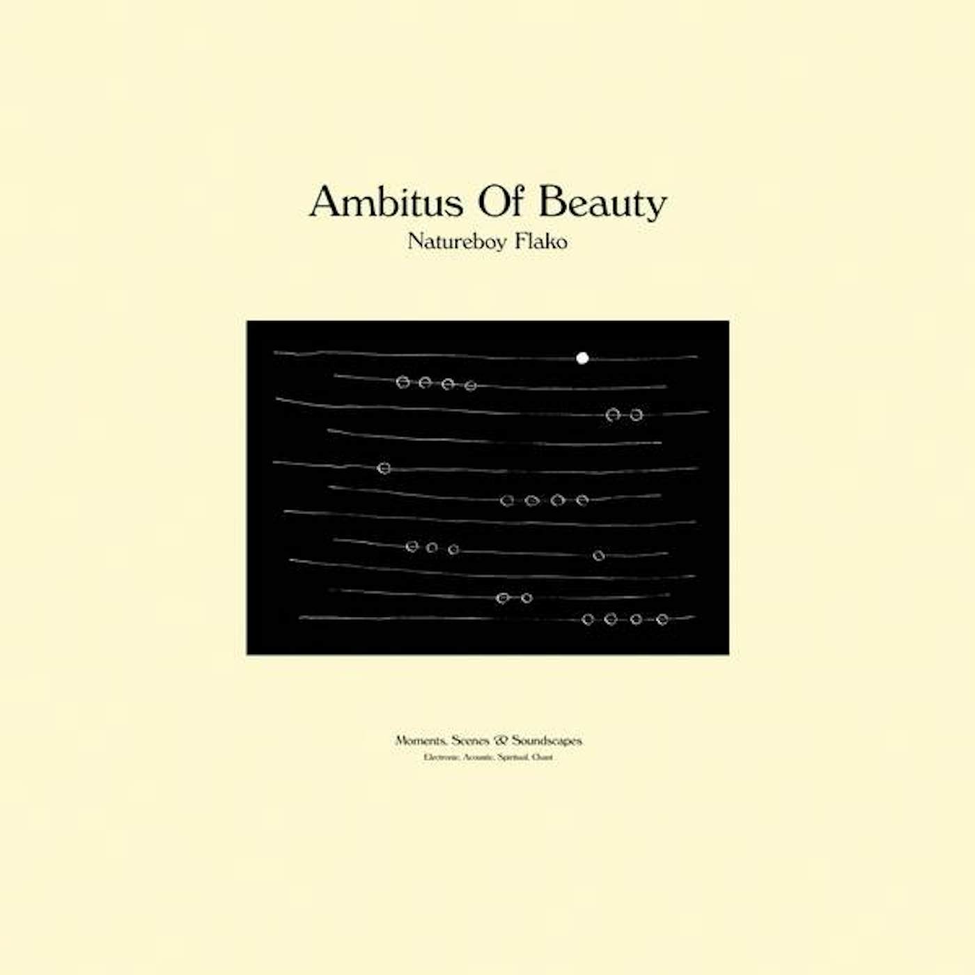 Natureboy Flako Ambitus of Beauty Vinyl Record