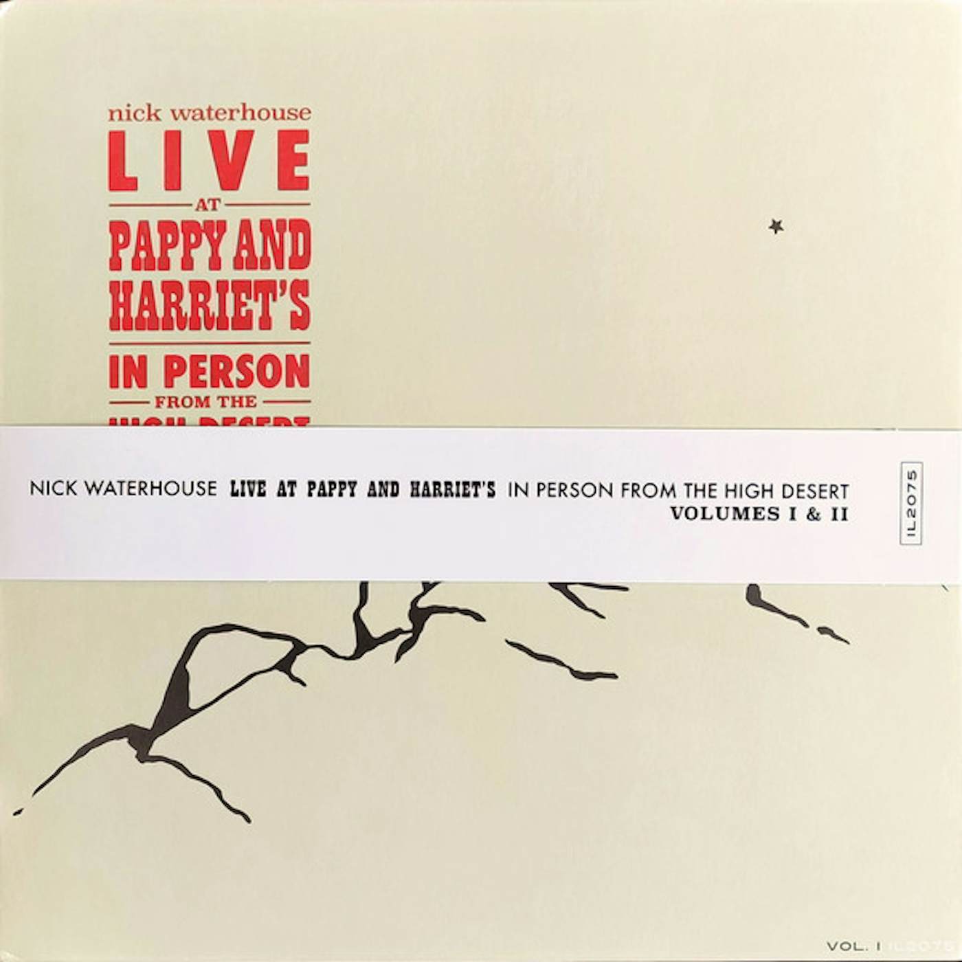 Nick Waterhouse LIVE AT PAPPY & HARRIET'S: IN PERSON FROM THE HIGH Vinyl Record