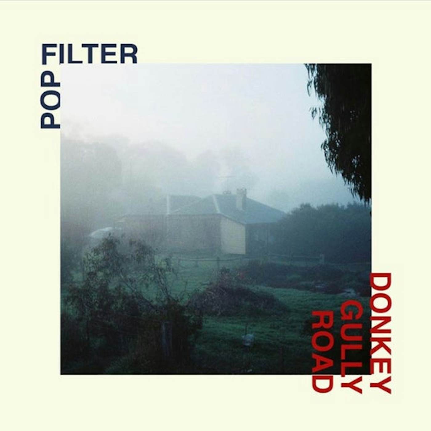 Pop Filter Donkey Gully Road Vinyl Record