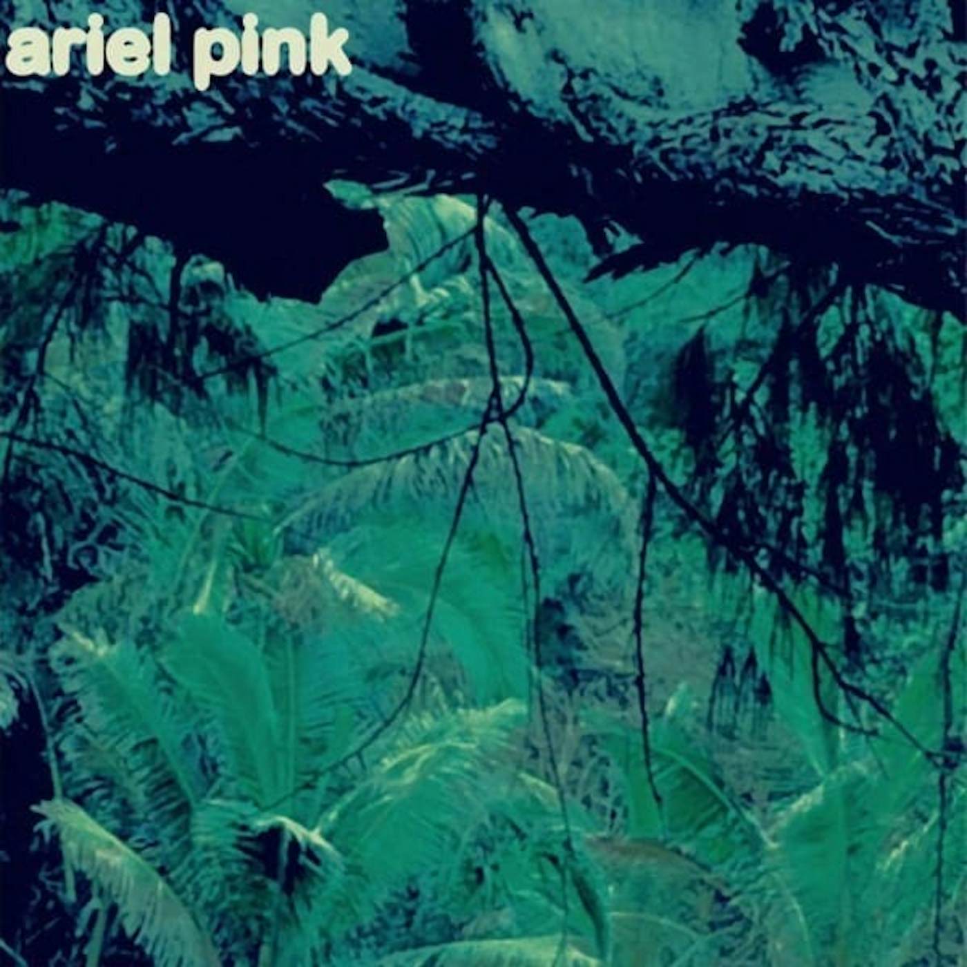 Ariel Pink's Haunted Graffiti ODDITTIES SODOMIES 3 Vinyl Record