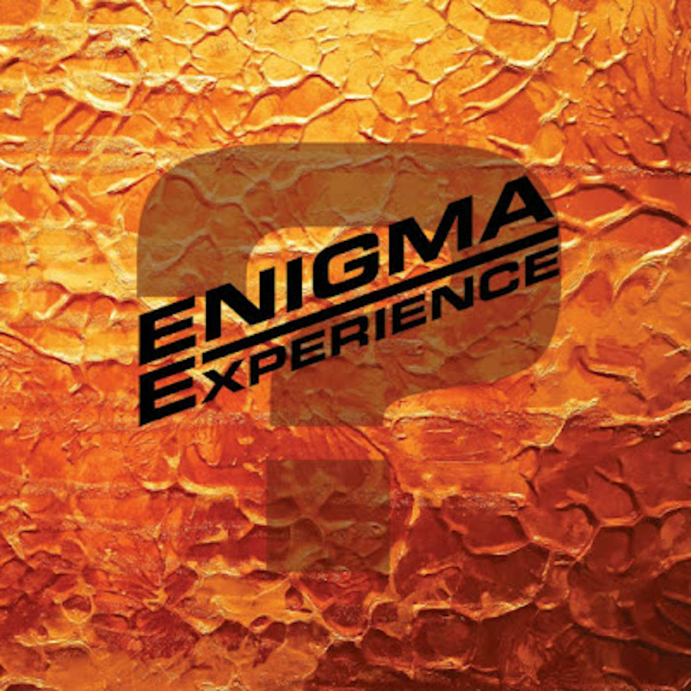 Enigma Experience Question Mark Vinyl Record