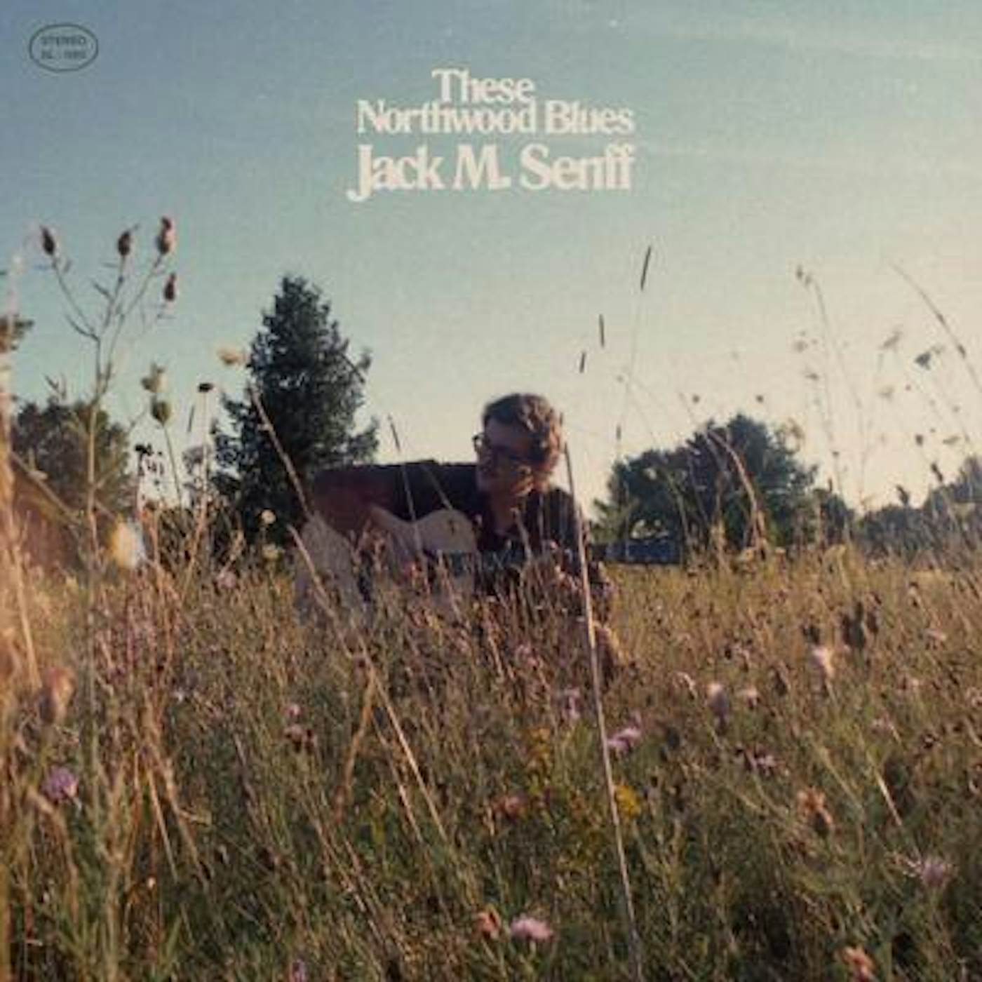 Jack M. Senff These Northwood Blues Vinyl Record