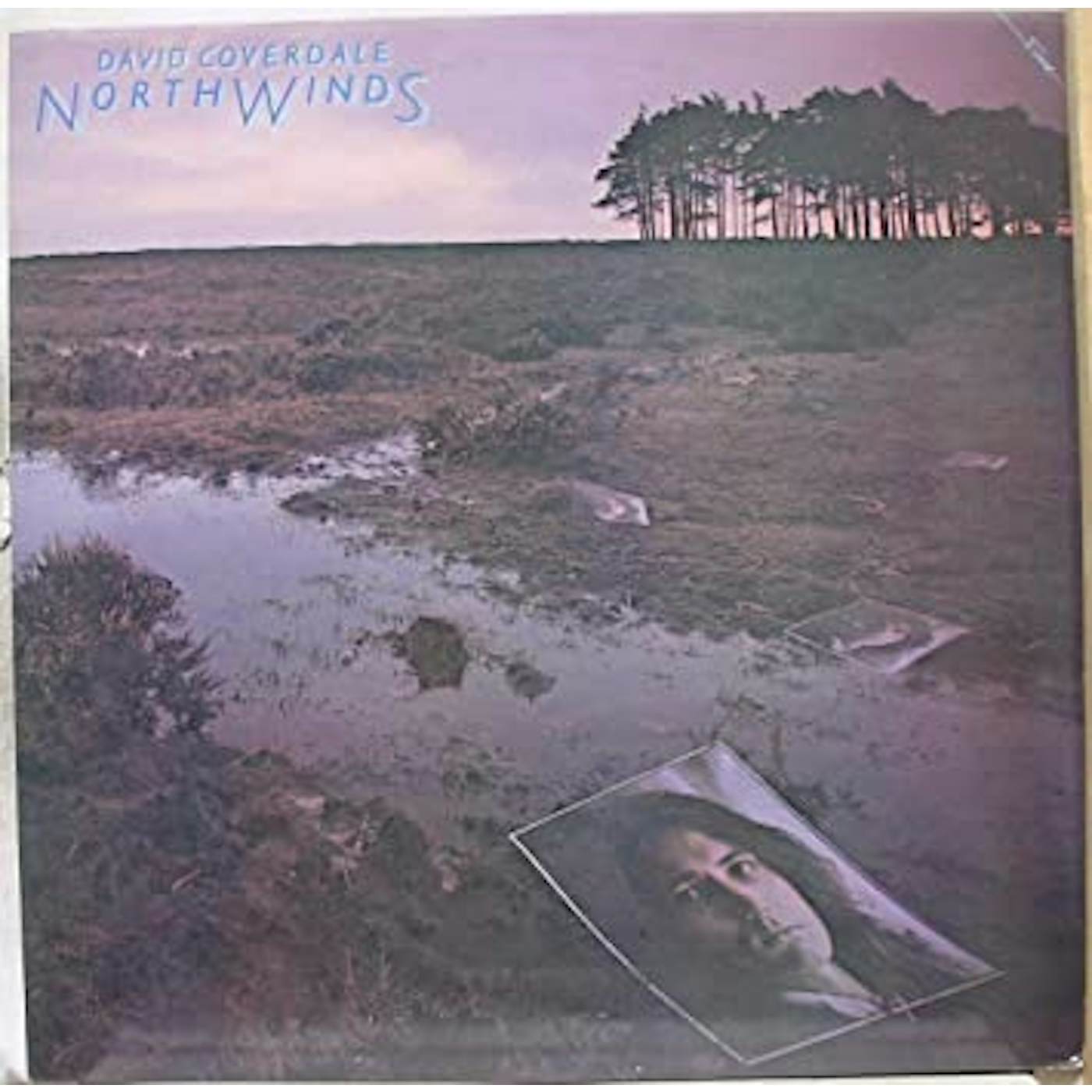 David Coverdale NORTH WINDS Vinyl Record