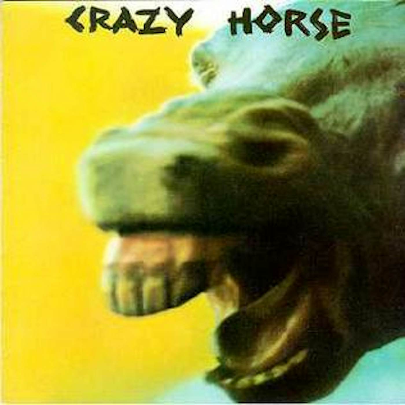 Crazy Horse Vinyl Record