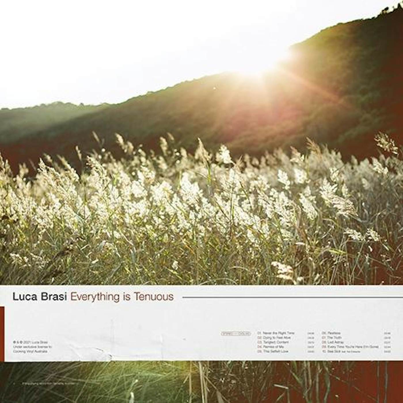 Luca Brasi Everything is Tenuous Vinyl Record