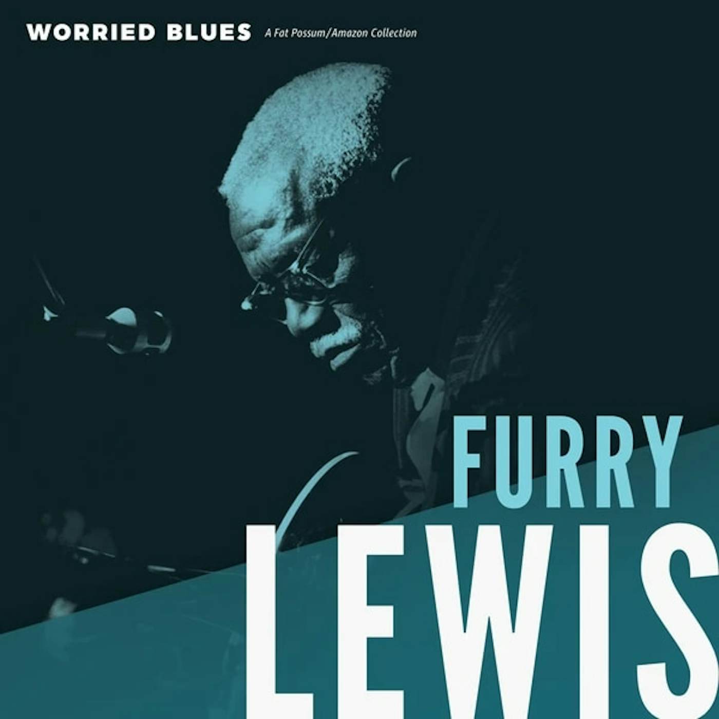 Furry Lewis WORRIED BLUES Vinyl Record