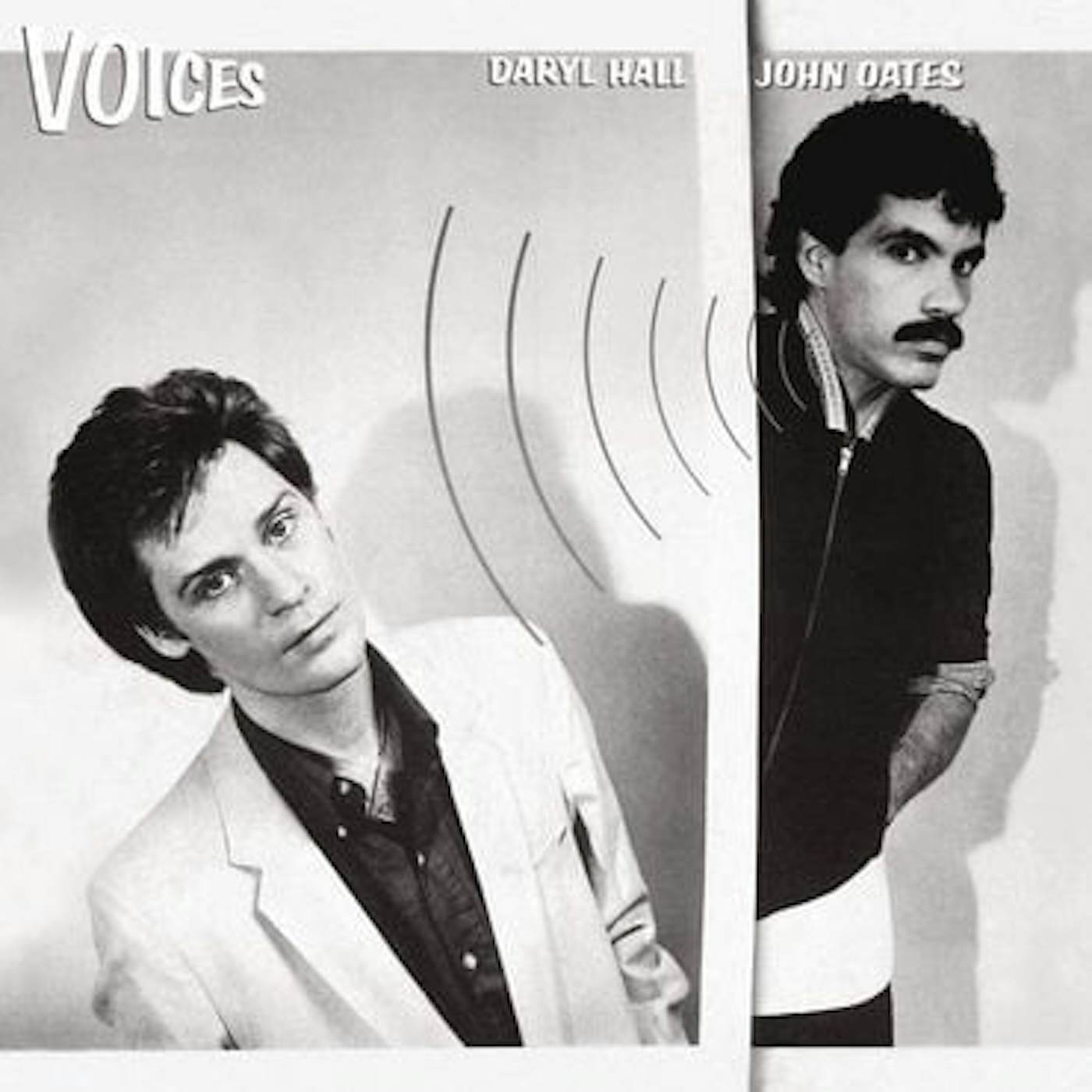 Daryl Hall & John Oates Voices Vinyl Record