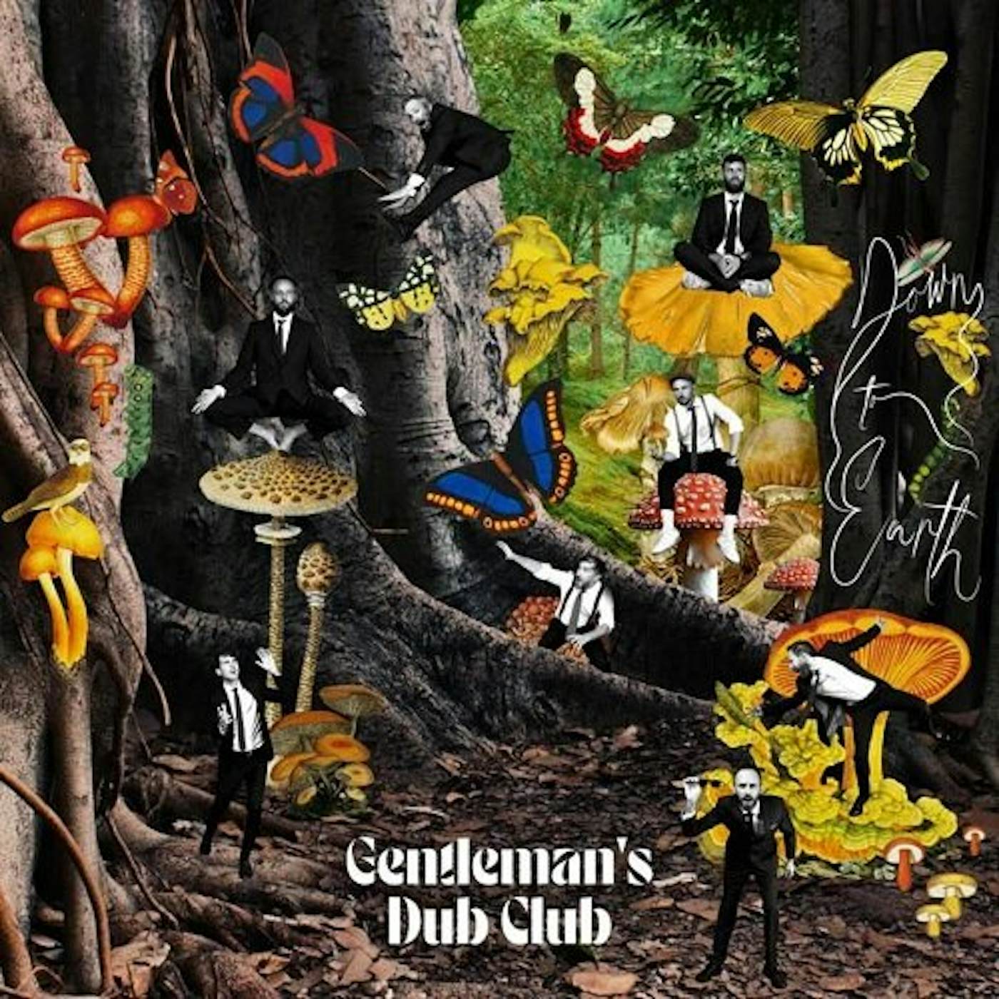 Gentleman's Dub Club Down to Earth Vinyl Record