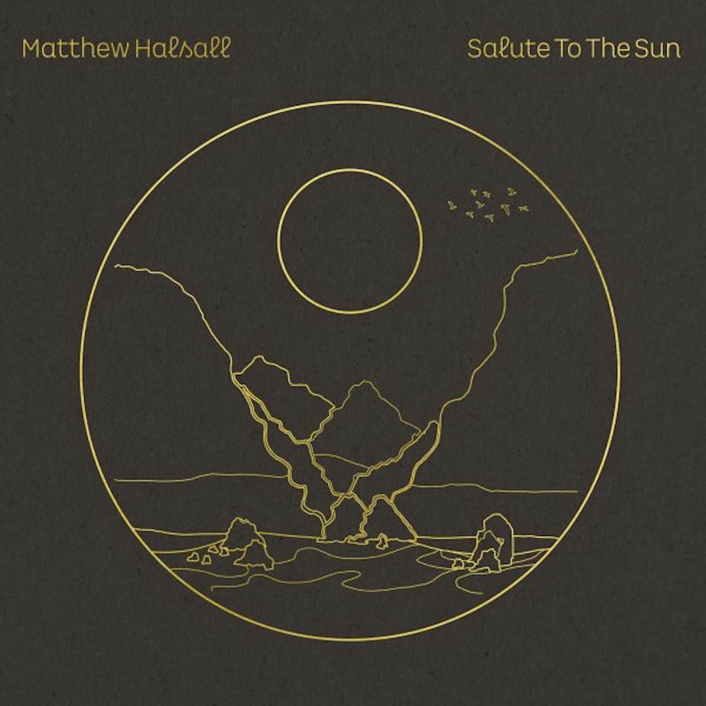 Matthew Halsall Salute to the Sun Vinyl Record