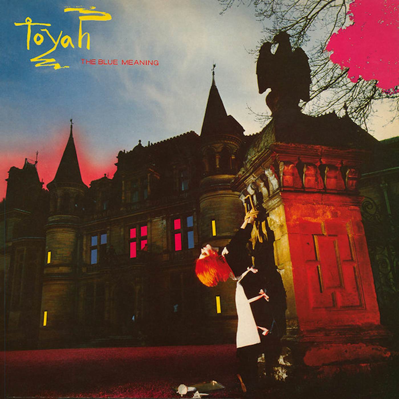 Toyah BLUE MEANING Vinyl Record
