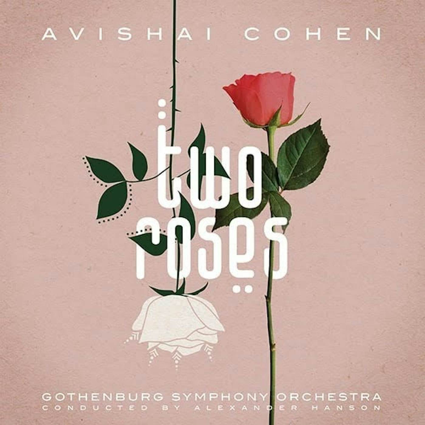 Avishai Cohen Two Roses Vinyl Record