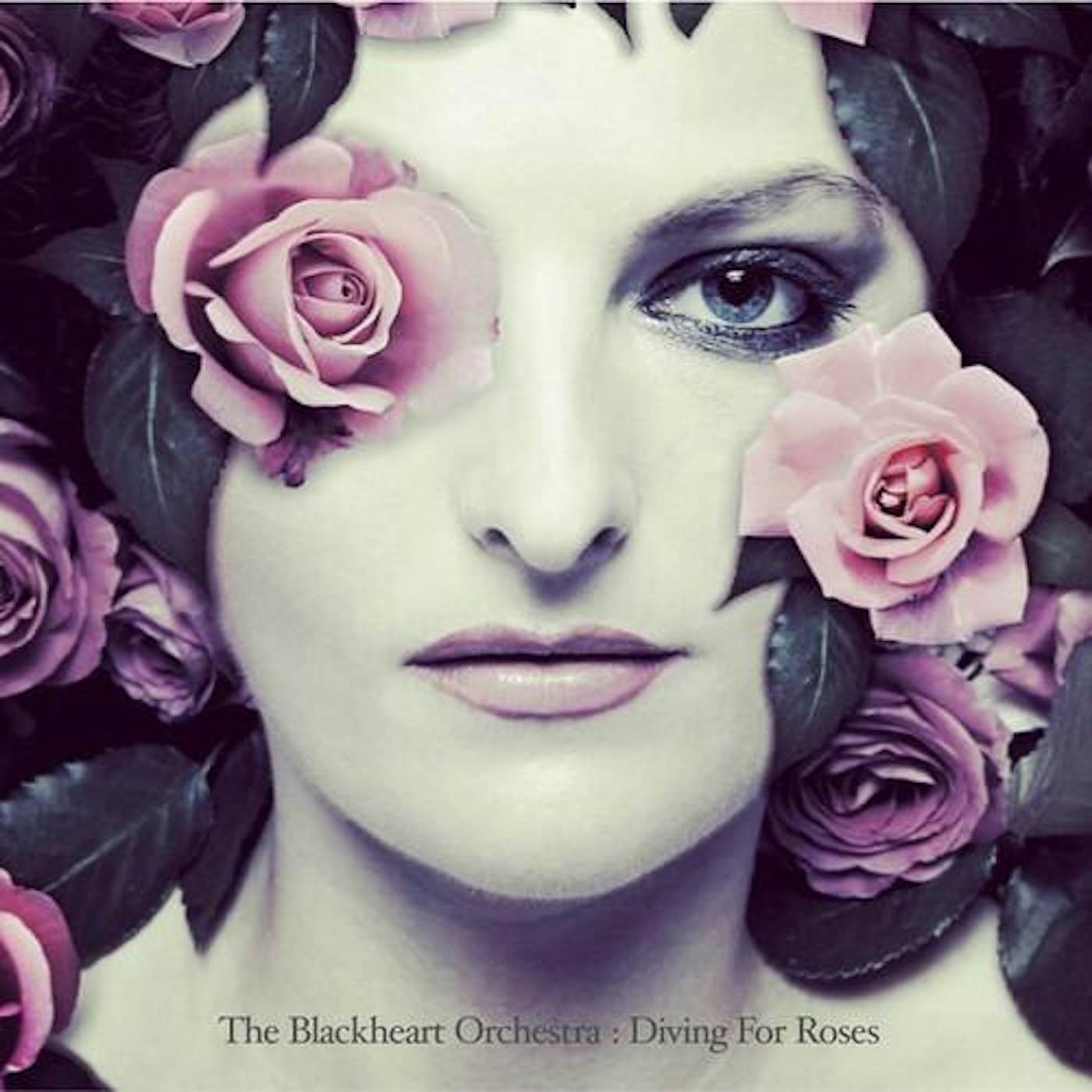 The Blackheart Orchestra Diving for Roses Vinyl Record