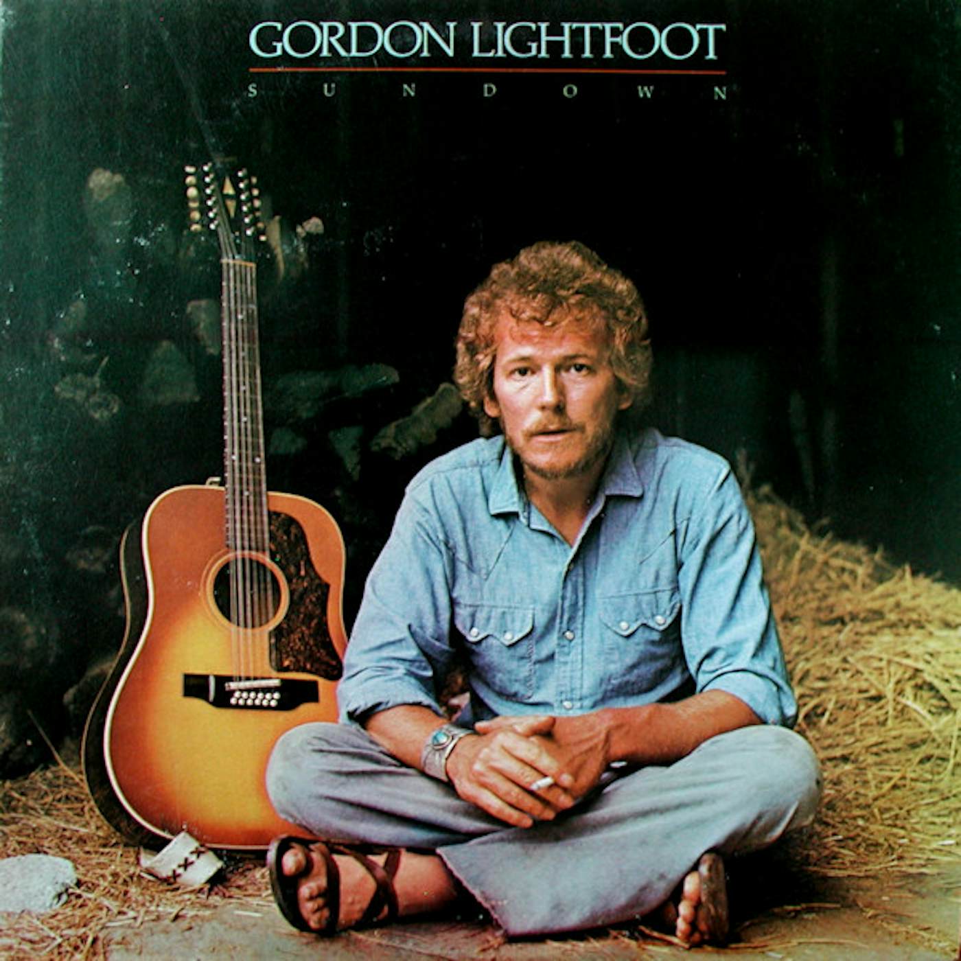 Gordon Lightfoot Sundown Vinyl Record