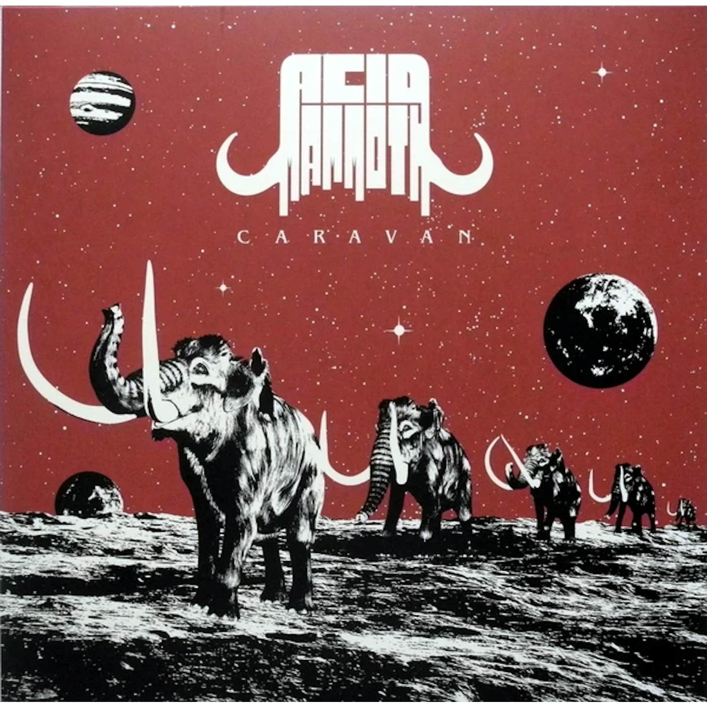 Acid Mammoth Caravan Vinyl Record